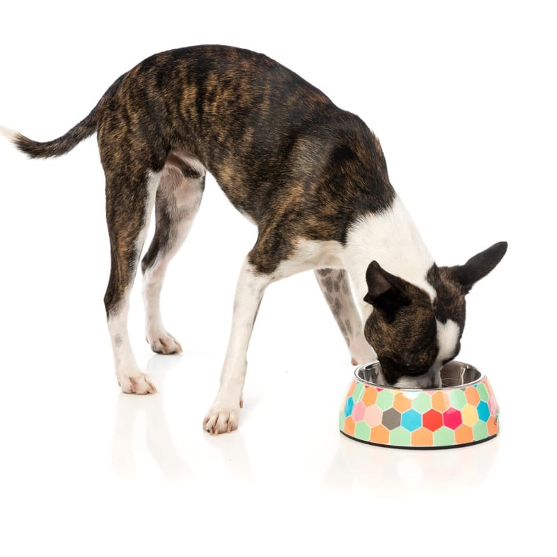 Fuzzyard The Hive Dog Bowl - Non-Slip Slow Feeder for Small Medium Large Dogs - Perfect for Mealtime & Portion Control