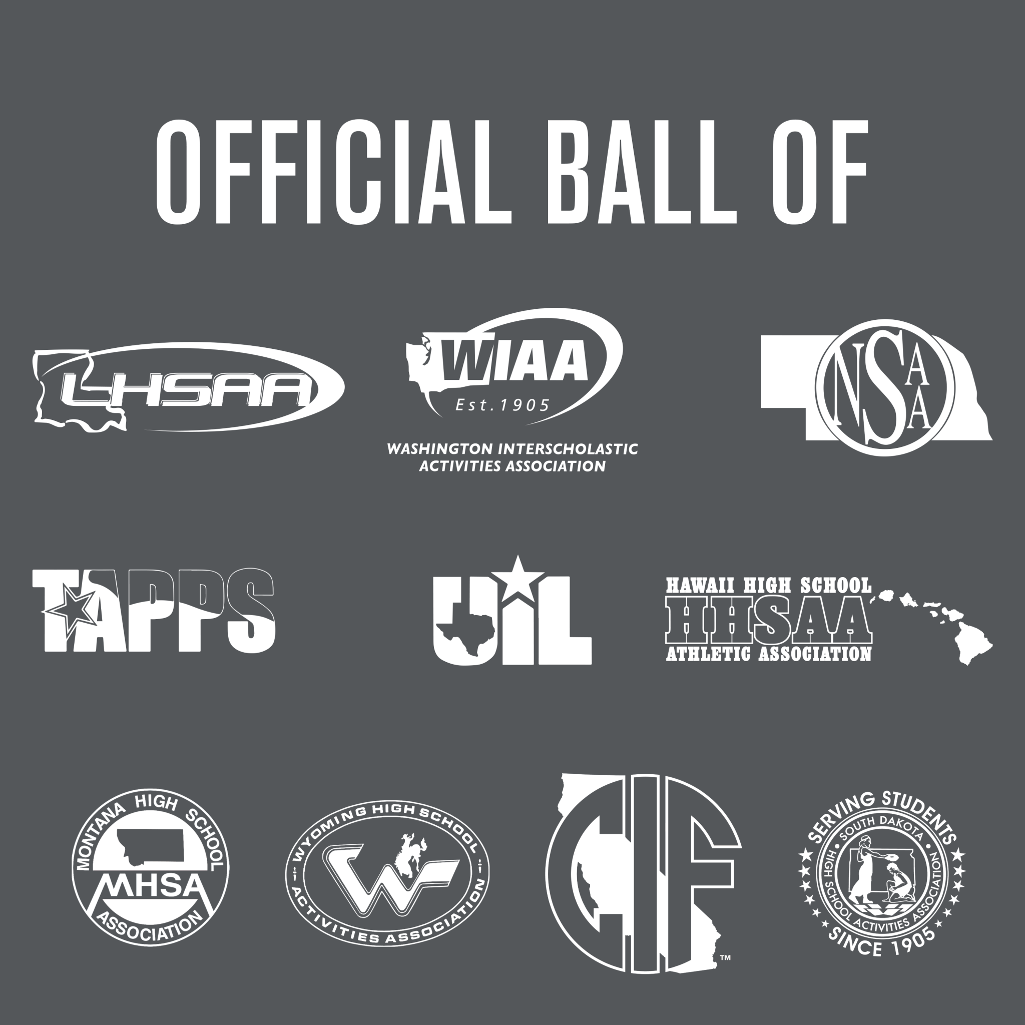 Perfection Thermo Soccer Ball - Professional Match-Grade Soccer Ball for Training & Games - Perfect for Outdoor, Indoor, and Competitive Play