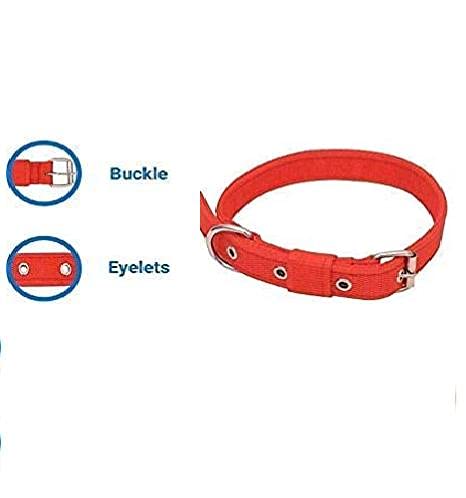 **Durable Nylon Pet Collar for Small & Medium Dogs & Cats - Adjustable Metal Buckle, Easy to Use, Red (XS/S) - Perfect for Walking, Running & Training**