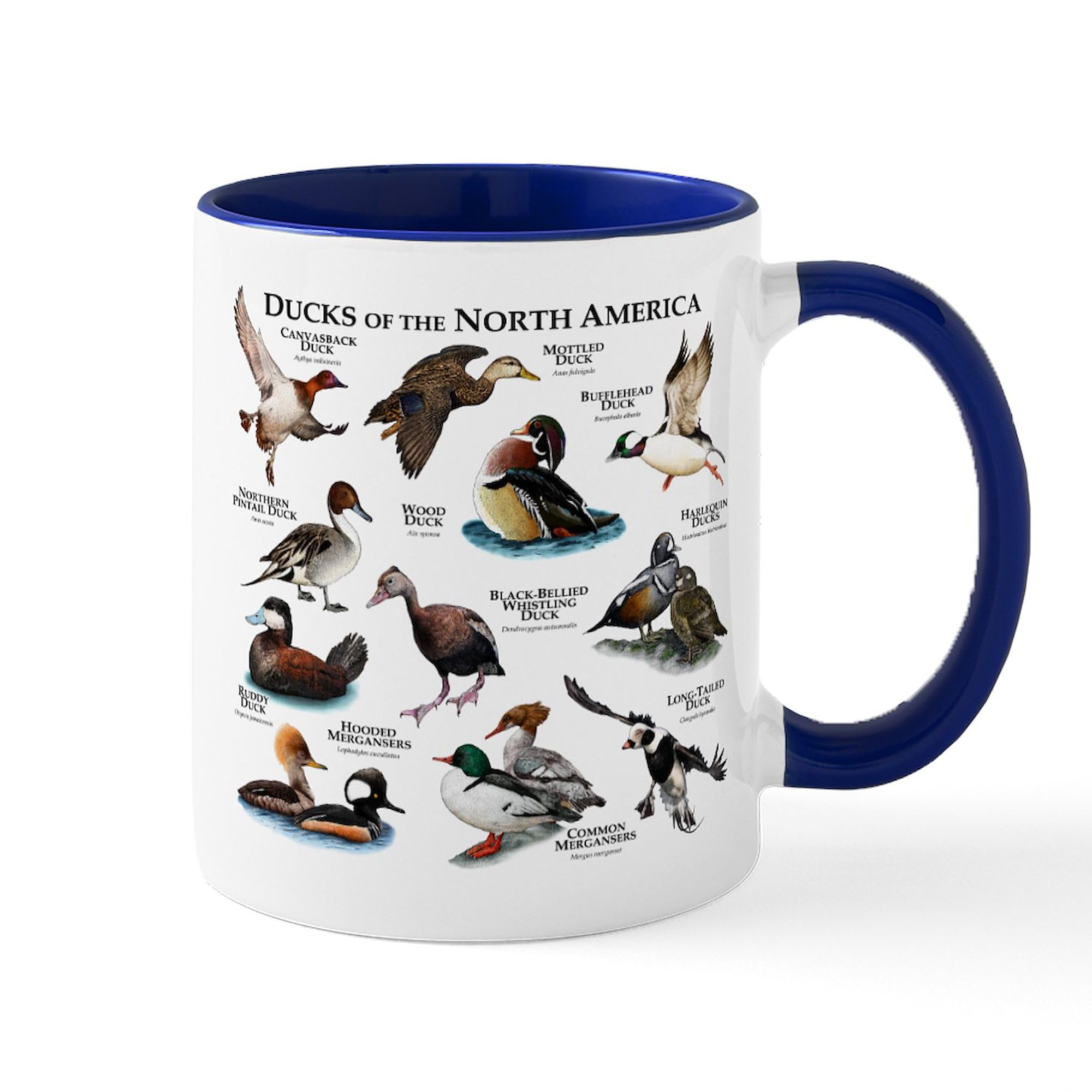 Ducks of North America 11 oz Ceramic Coffee Mug (325 ml) - Perfect for Hot Tea, Coffee & Office Use - CafePress