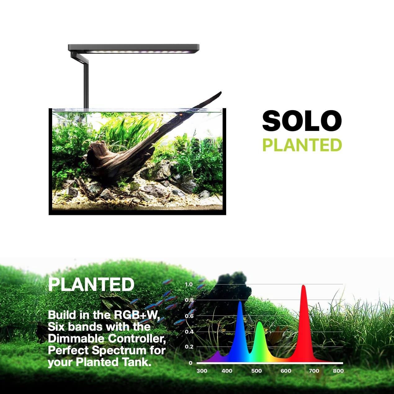 Programmable LED Aquarium Light 20W with Timer - Sunrise Sunset Full Spectrum for Freshwater Fish, Shrimp, Planted & Nano Tanks | Perfect for Aquascaping & Home Decoration