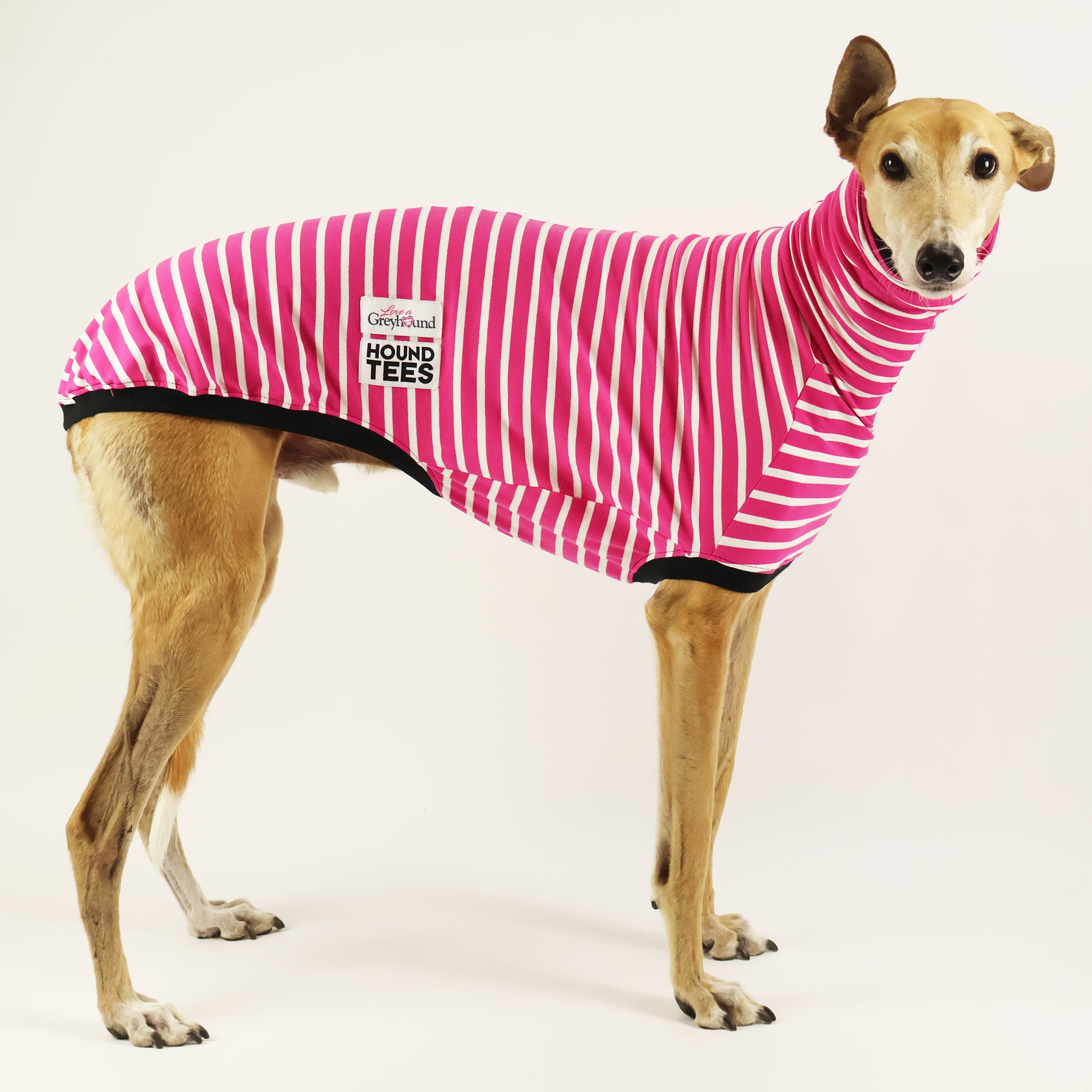 Love A Greyhound Sleeveless Hound T-Shirt - Comfortable Dog Lover Apparel for Casual Wear & Outdoor Activities