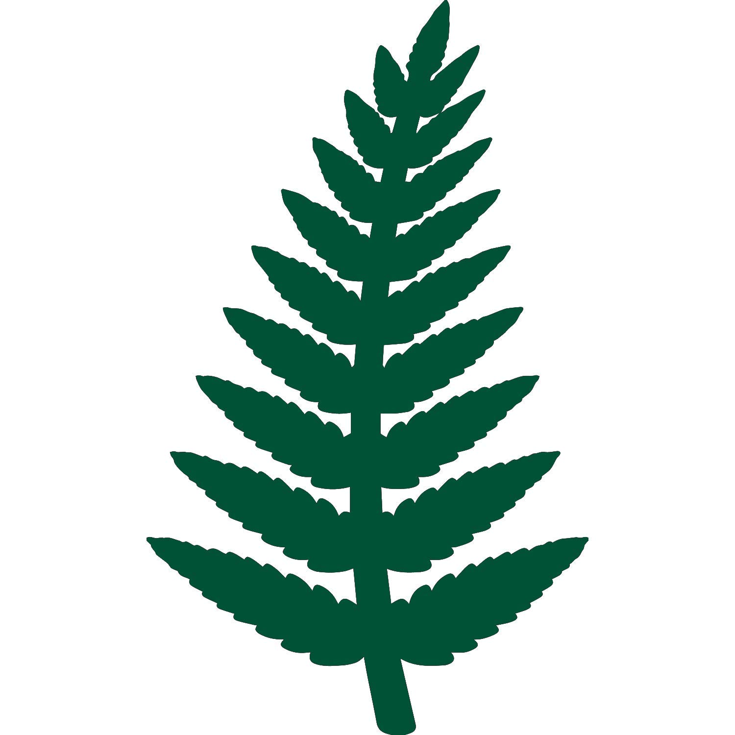 ANGFERN Green Fern Silhouette Vinyl Decals (Set of 2) - Waterproof Stickers for Laptop, Phone, Helmet, Car Window, Mug & Home Decor - Perfect for DIY Crafts, Scrapbooking & Personalizing Gifts