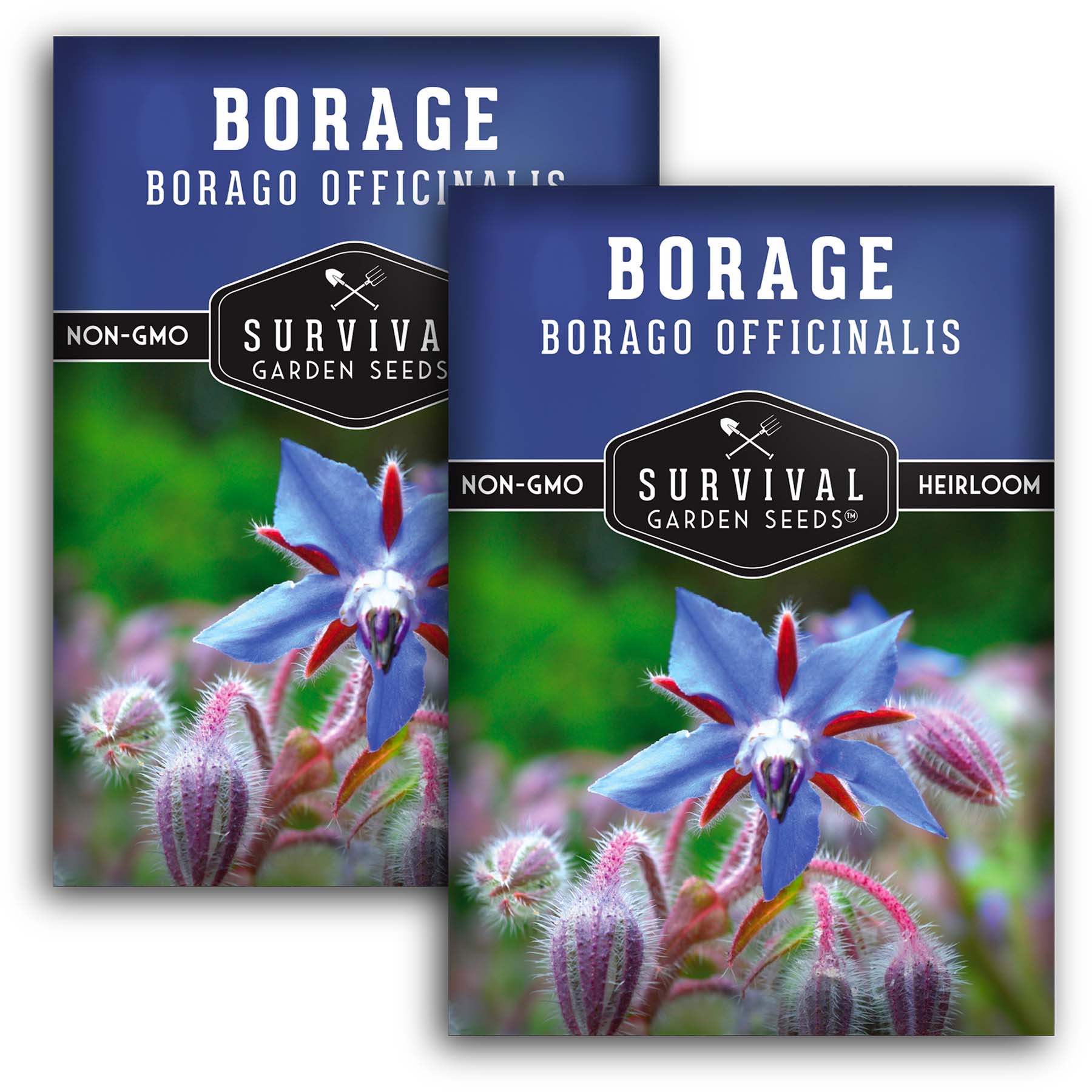Organic Borage Seeds for Planting - Non-GMO, Heirloom Herb Seeds for Garden, Kitchen & Medicinal Use - Perfect for Teas, Salads, and Pollinator Gardens
