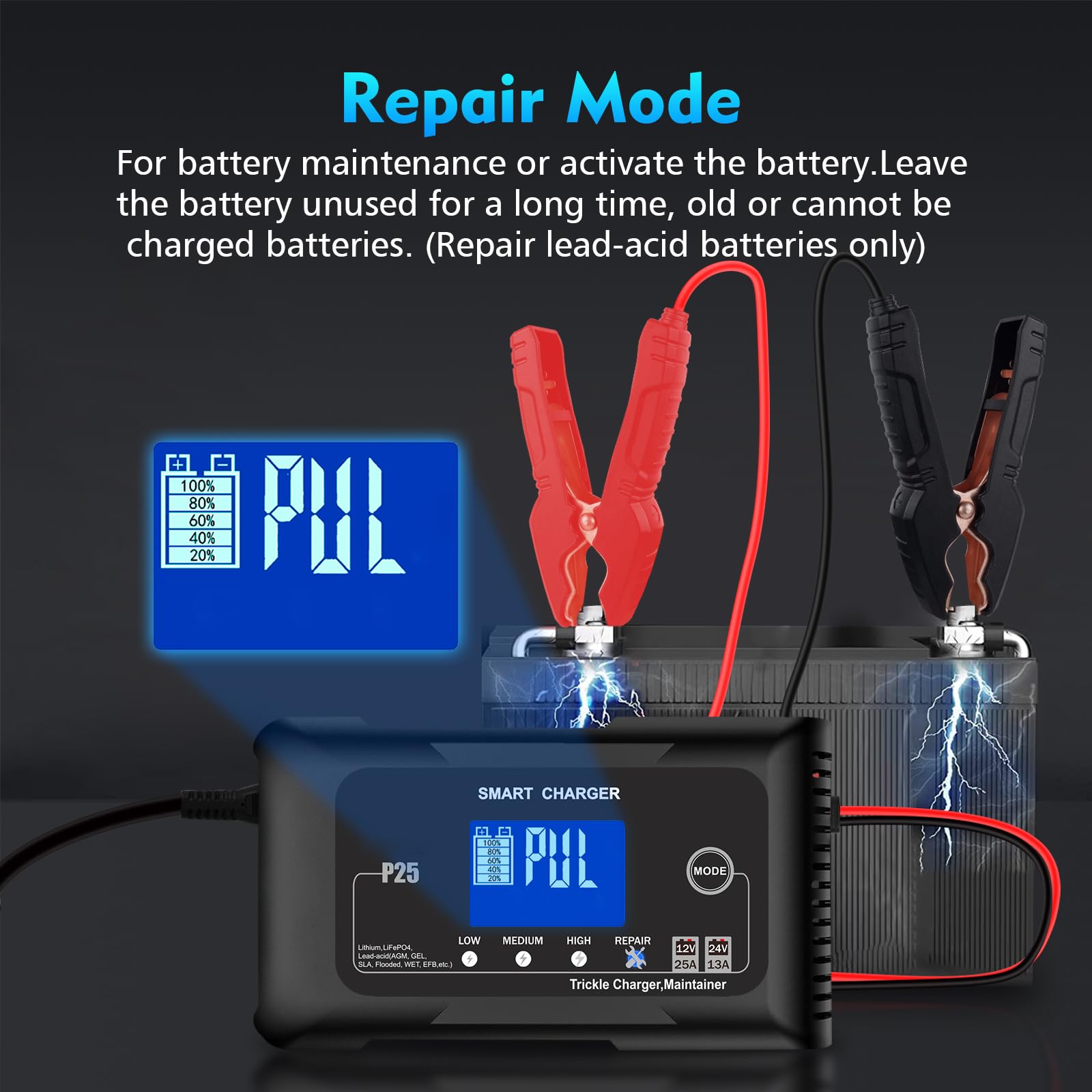 25Amp 12V/24V Lithium Battery Charger for Lifepo4 & Lead Acid (AGM/Gel/SLA) - High Power Fast Charger & Trickle Maintainer for Car, Boat, Motorcycle - Perfect for RV, Marine, ATV & Off-Grid Power Supply