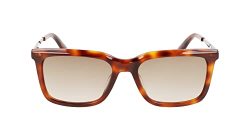 Brown Havana