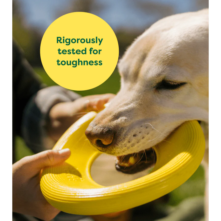 Earth Rated Dog Fly Toy - Interactive Flying Disc for Dogs - Durable Outdoor Fetch Toy for Active Dogs - Perfect for Park, Beach & Backyard Play