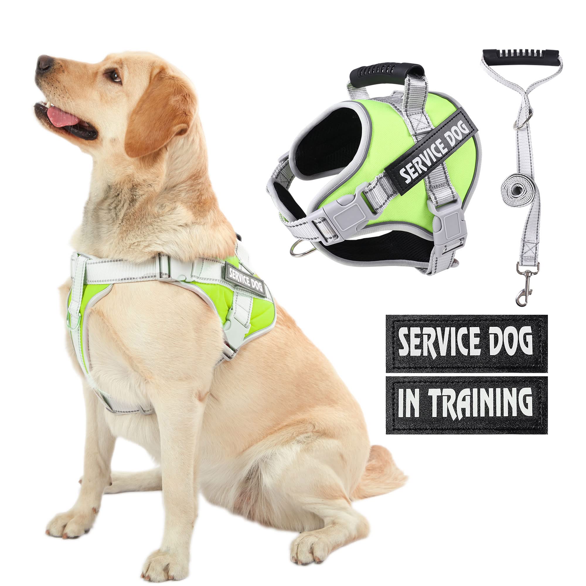 Service Dog Vest Harness - No Pull Training Harness with Handle & 5ft Leash, Adjustable Reflective Pet Harness for Small Medium Large Dogs - Walking, Running, Outdoor Adventures (Green, XL)