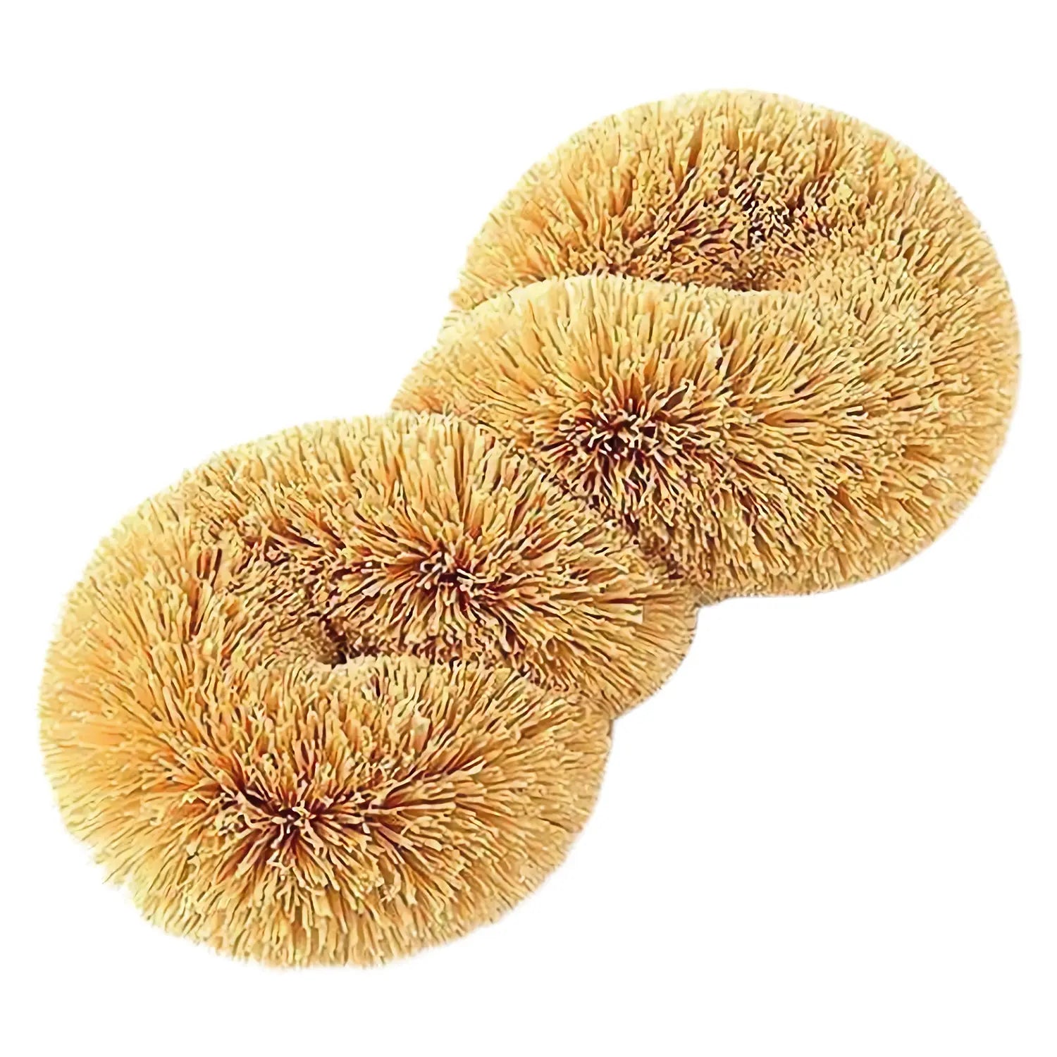 Eco-Friendly Coconut Coir Fiber Dish Scrubber - Kamenoko Tawashi Style for Non-Stick Pans & Delicate Cookware - Natural Kitchen Cleaning Brush (White) - Perfect for Pots, Pans, Glassware & Stainless Steel