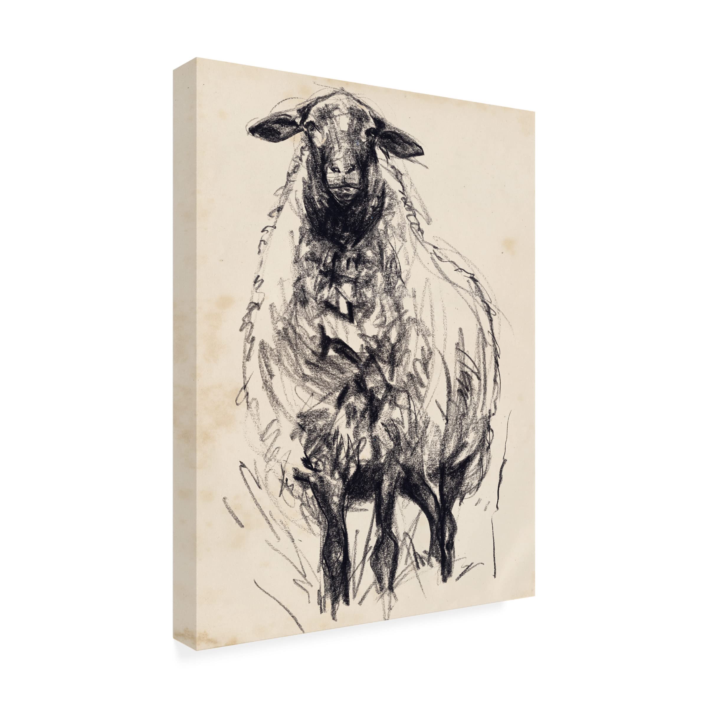 Jennifer Paxton Parker 'Charcoal Sheep I' Canvas Wall Art Print - Modern Farmhouse Decor for Living Room, Bedroom & Office
