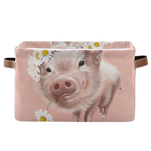 Cute Pig