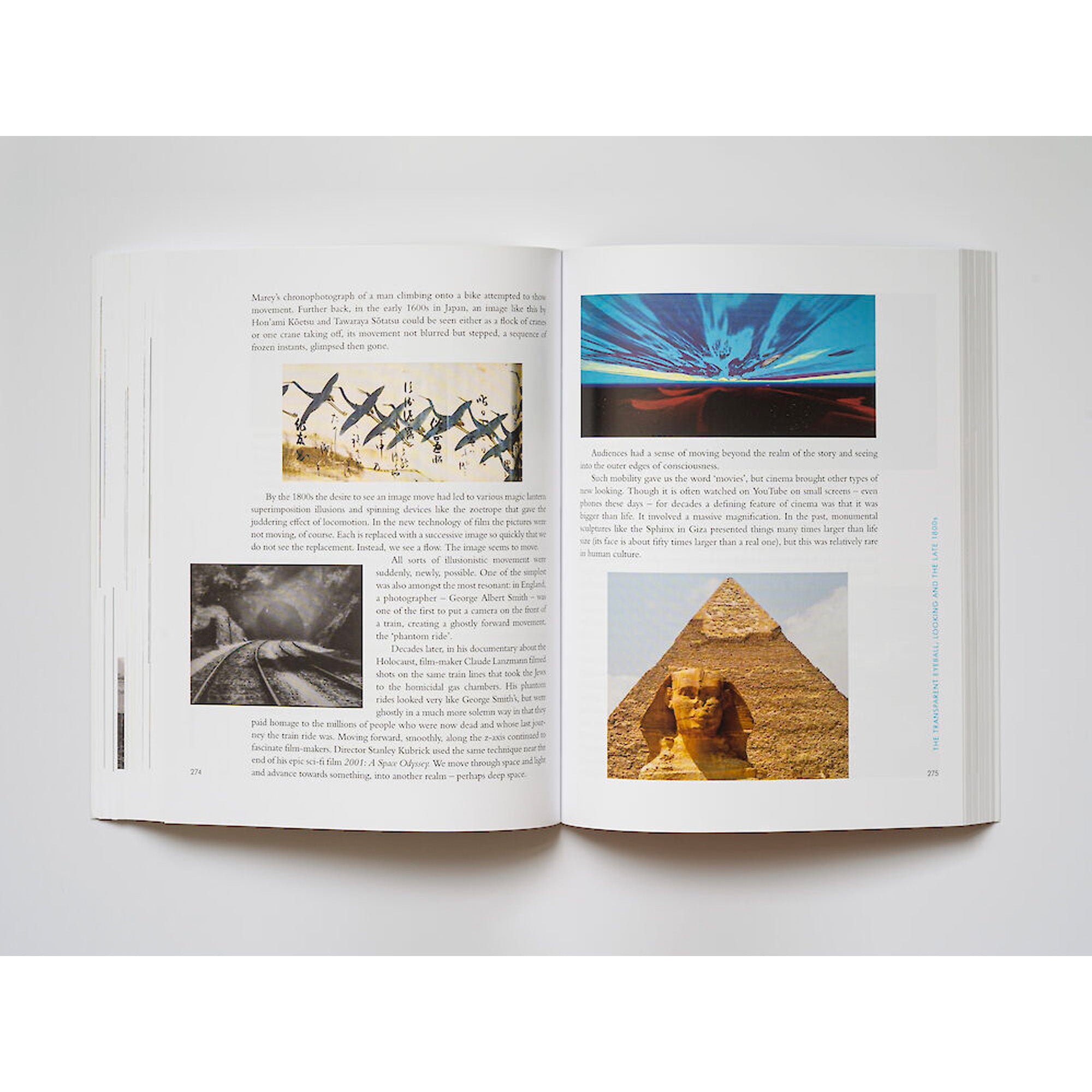 Story of Looking Softcover Book - Engaging Visual Narrative for Art Lovers & Readers | Perfect for Coffee Tables, Gifts & Book Clubs
