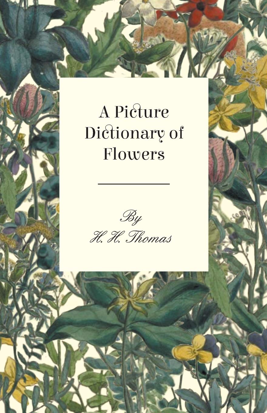 Flower Picture Dictionary - Illustrated Guide to Common Flowers with Names & Facts | Perfect for Gardeners, Students & Nature Lovers