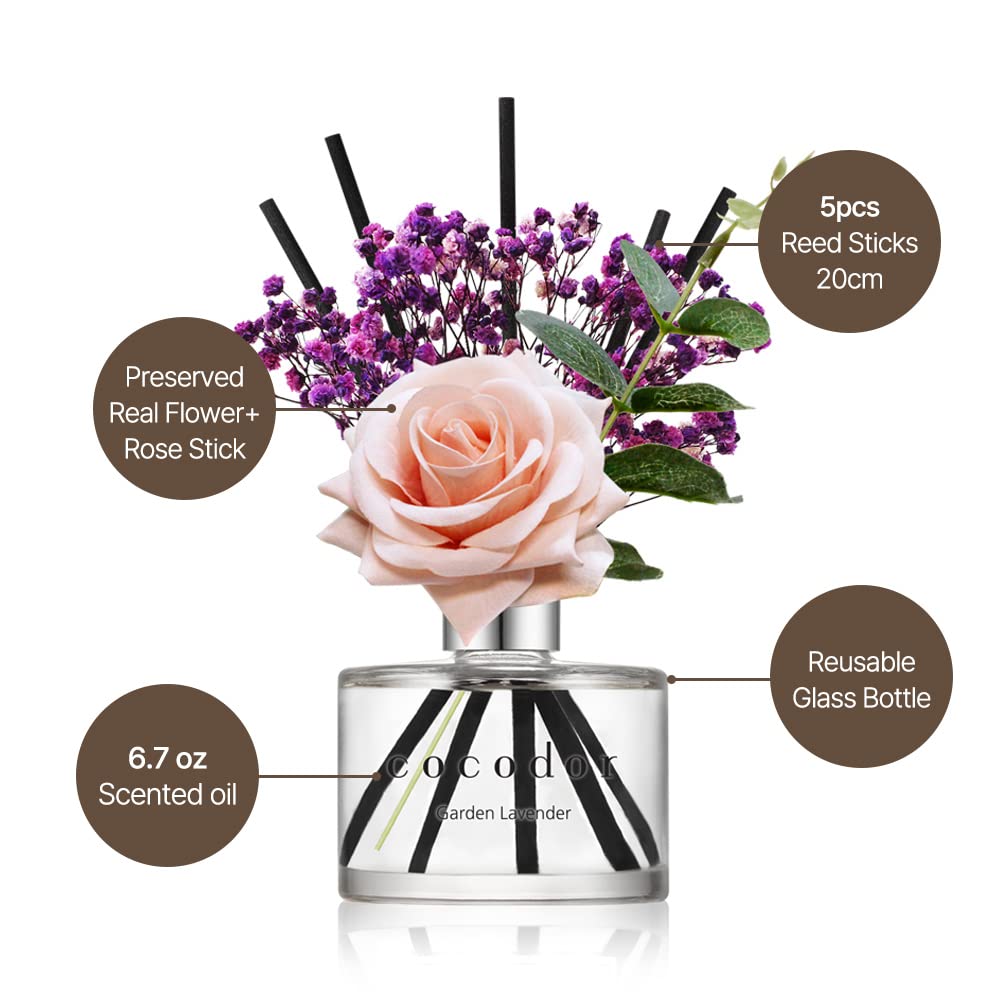 COCODOR Pink Reed Diffuser - 200ml Pure Cotton Scented Oil for Home & Office | Long-Lasting Aromatherapy, Room Freshener, Women's Gift Idea (Perfect for Bedroom, Bathroom, Living Room Decor)