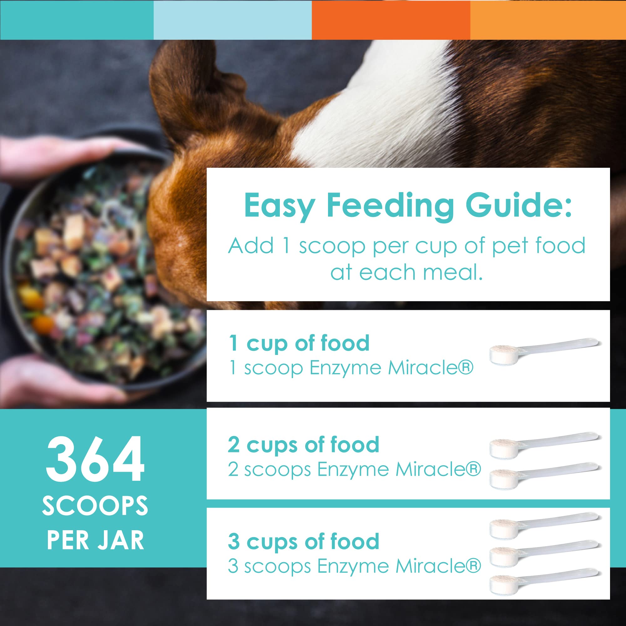 Digestive Enzymes for Dogs & Cats - Protein, Carbs, Starches & Fats Digestion Support | Helps with Diet Transition | Enzyme Supplement Powder (364 Scoops) | Ideal for Sensitive Stomachs & Digestive Health Maintenance
