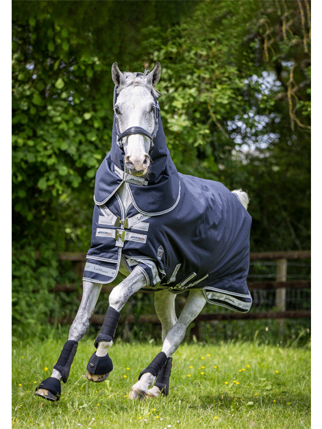 Arika Storm Tek Rug 200g Waterproof Turnout Blanket for Horses - Ideal for Cold Weather Riding and Stable Use
