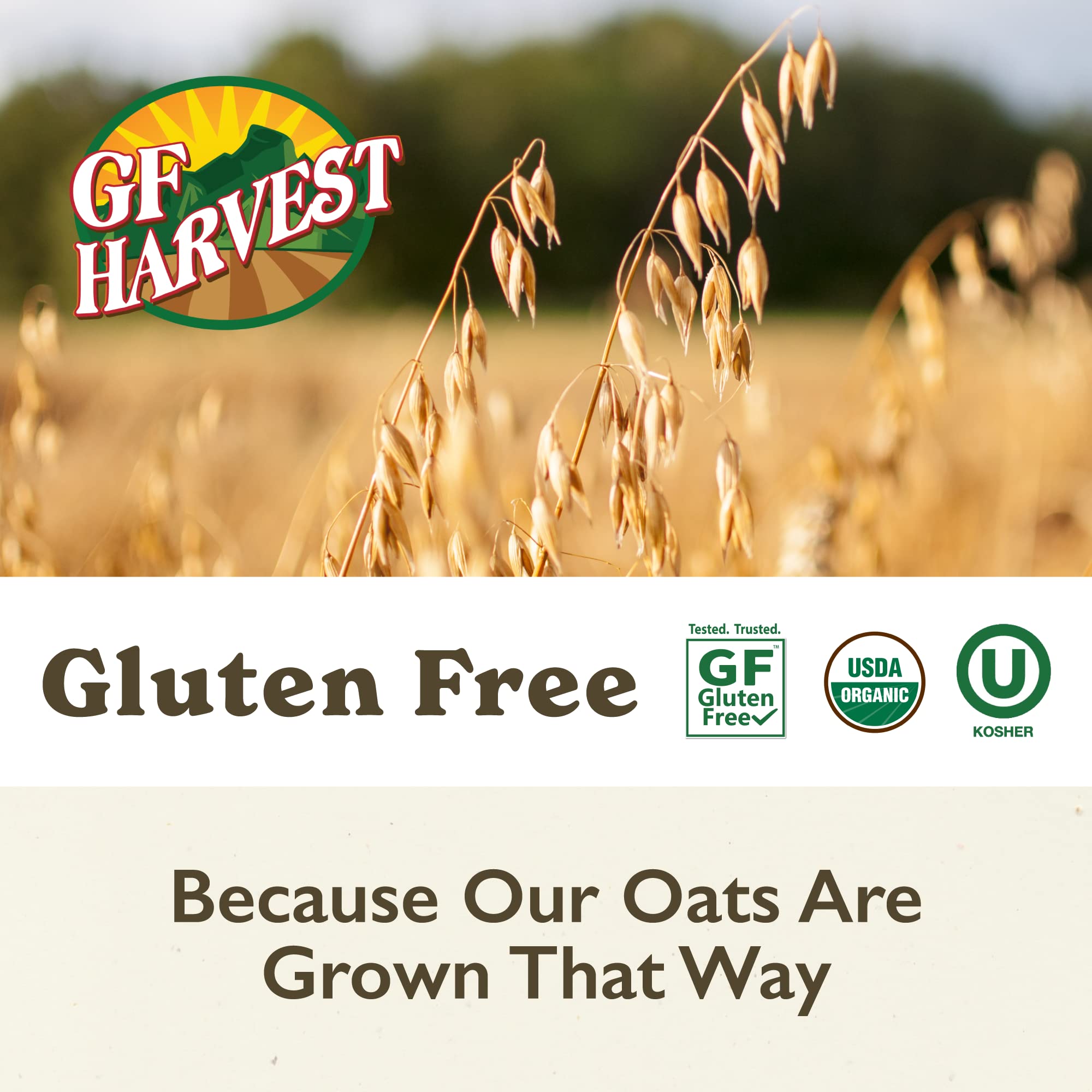 GF Harvest Gluten Free Organic Whole Grain Oat Flour - 32 Ounce (2 Pack) | USDA Certified | Perfect for Baking, Smoothies & Healthy Recipes