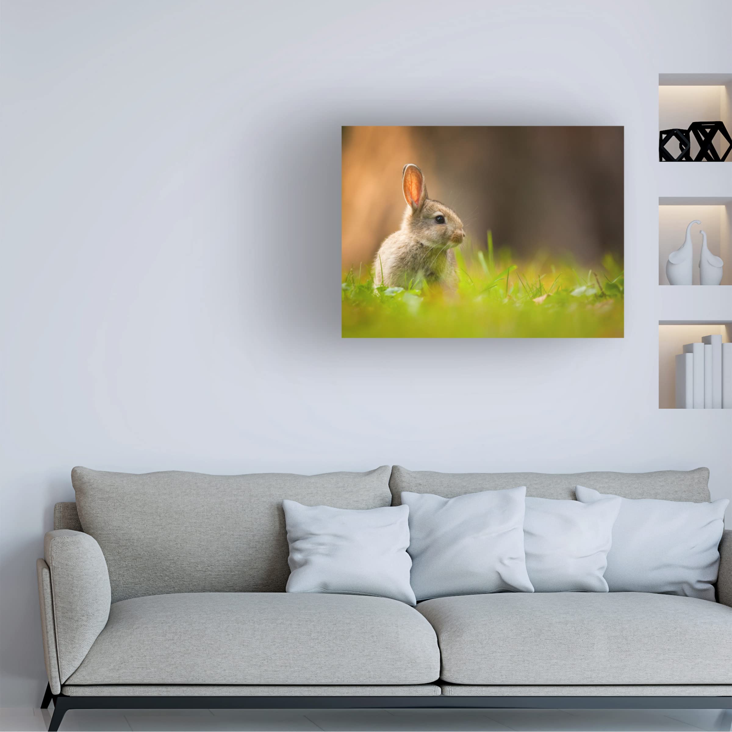Robert Adamec 'Rabbit' Canvas Wall Art Print - Modern Home Decor for Living Room, Bedroom & Office - Trademark Fine Art Collection