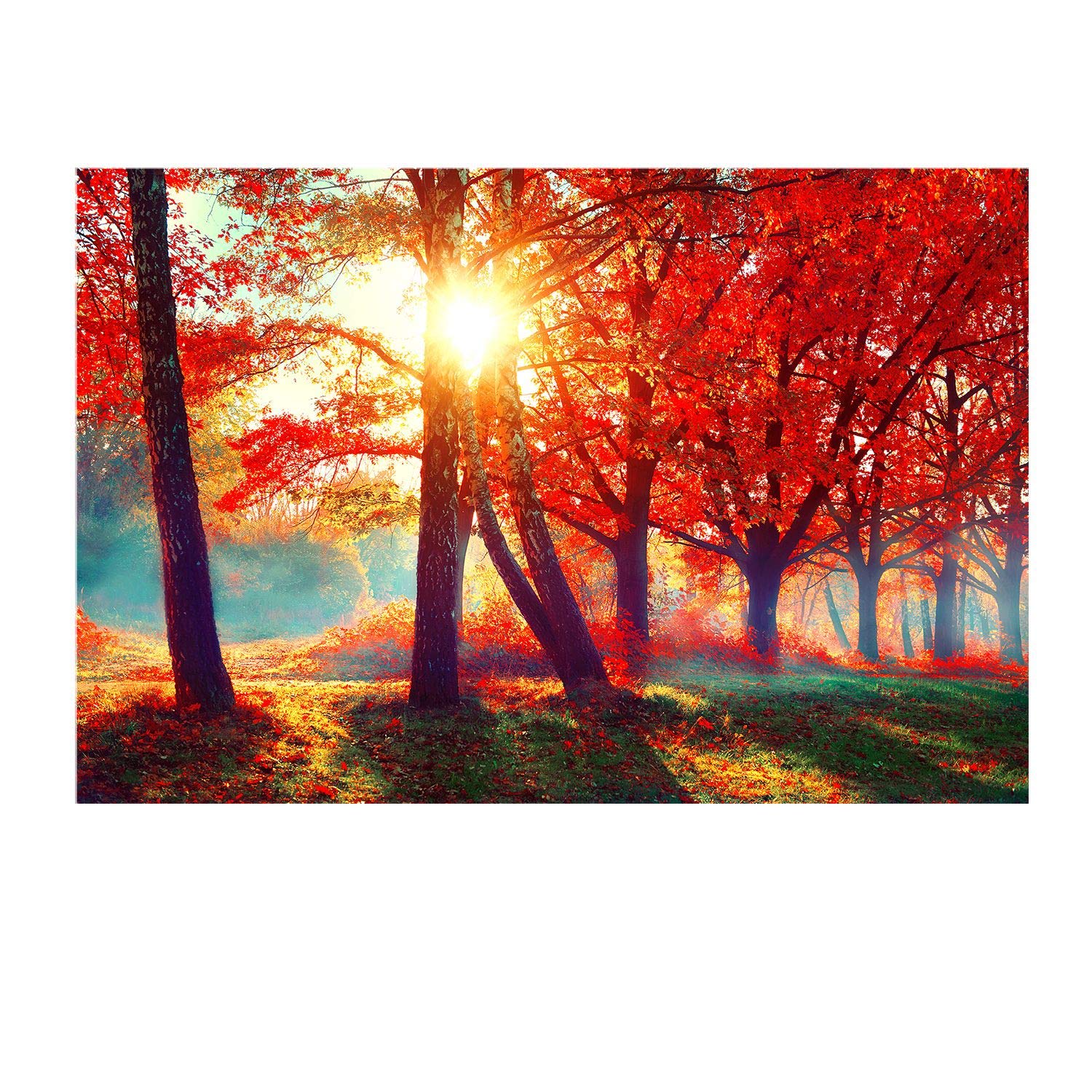 Startonight Orange Tree Mural Wall Art - 100