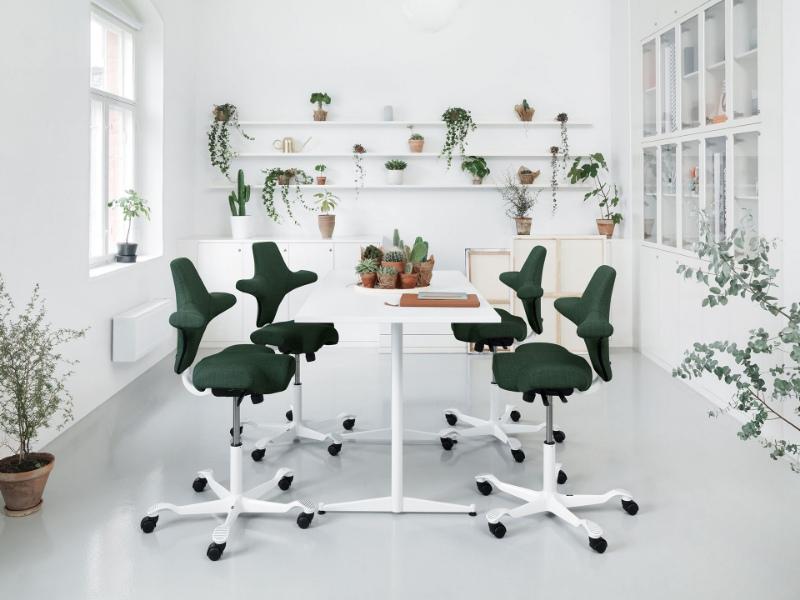 HÅG Capisco 8106 Ergonomic Office Chair - Adjustable Height with Optional Footrest - Black Mesh Back Support for Home & Office Workspaces