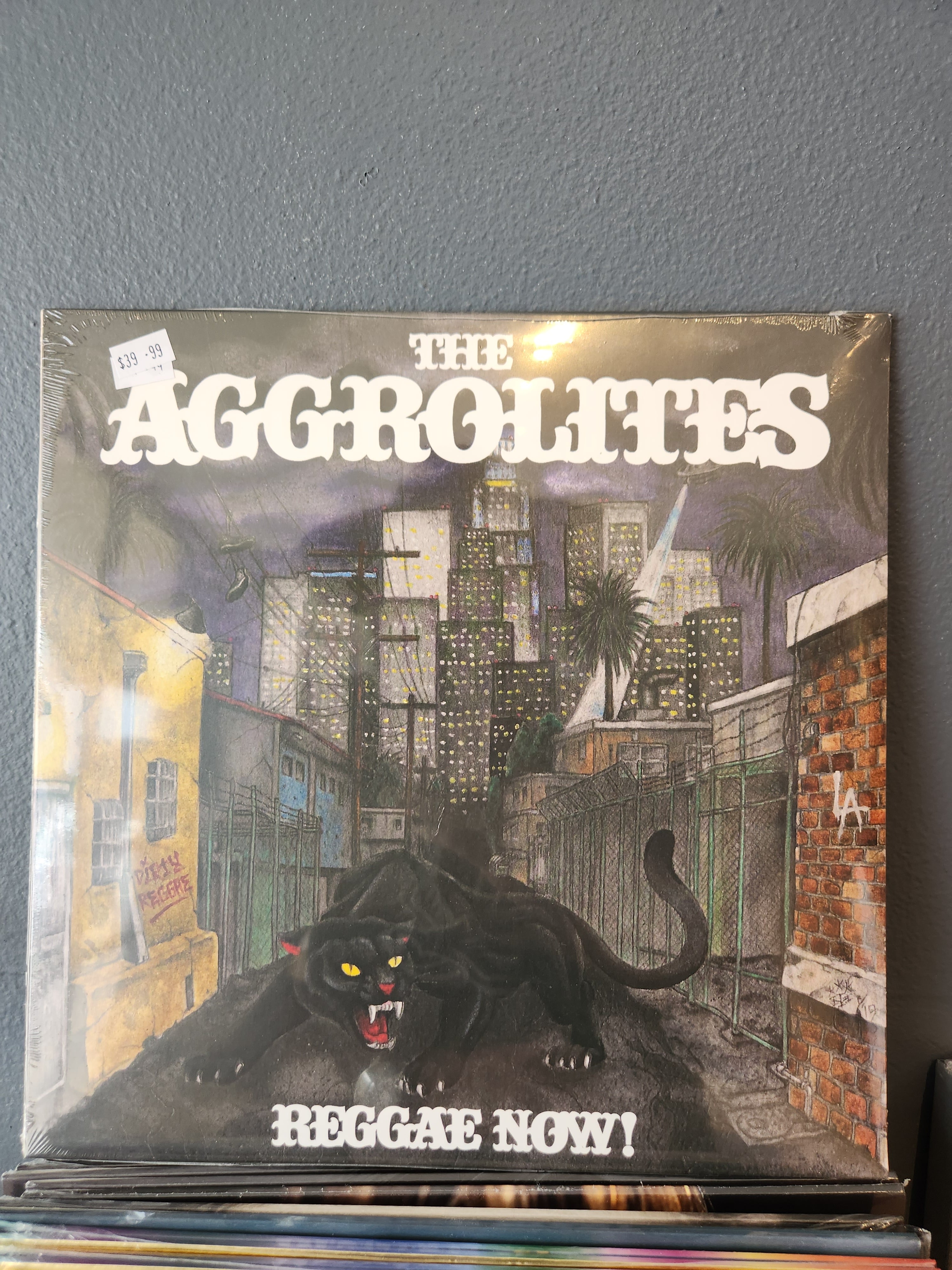 Aggrolites Reggae Now! Vinyl LP Record - Classic Reggae Music for Home Listening & Party Vibes
