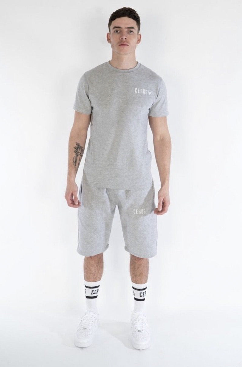 Cerus Grey Elevate T-Shirt for Men - Comfortable Casual Tee for Everyday Wear | Gym, Workout, Streetwear & Lounge