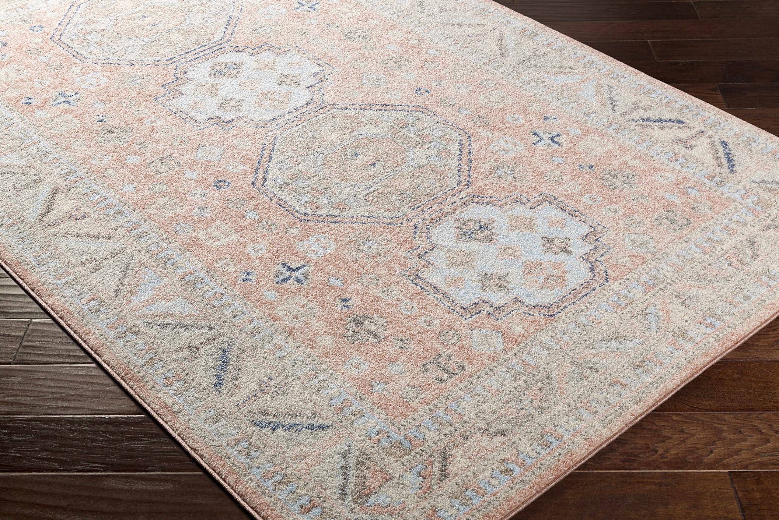 Hauteloom Mantador Traditional Gray Beige Blue Area Rug 7'10