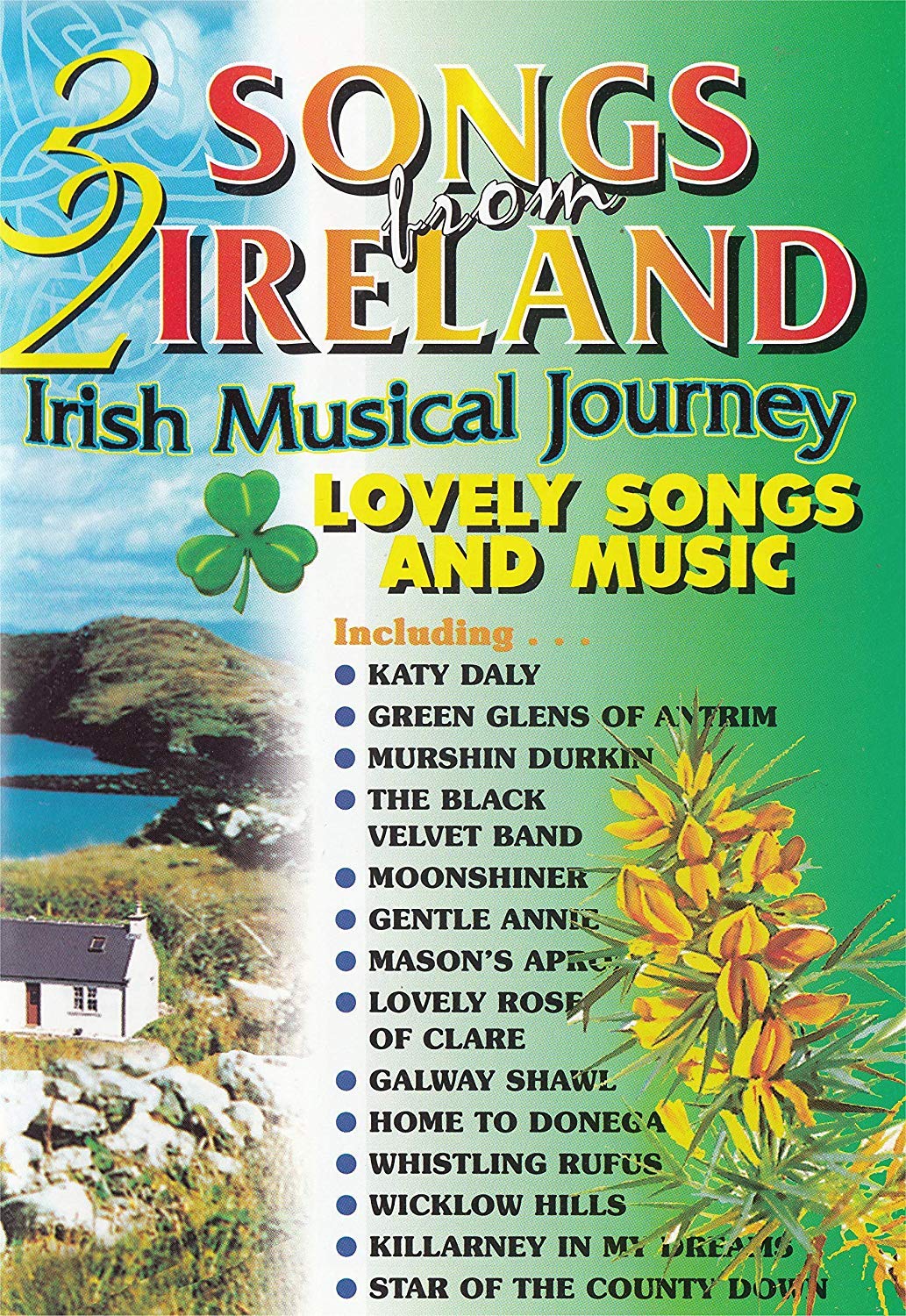 32 Songs From Ireland - Irish Musical Journey DVD | Traditional Irish Music Collection | Perfect for St. Patrick's Day Celebrations & Cultural Events