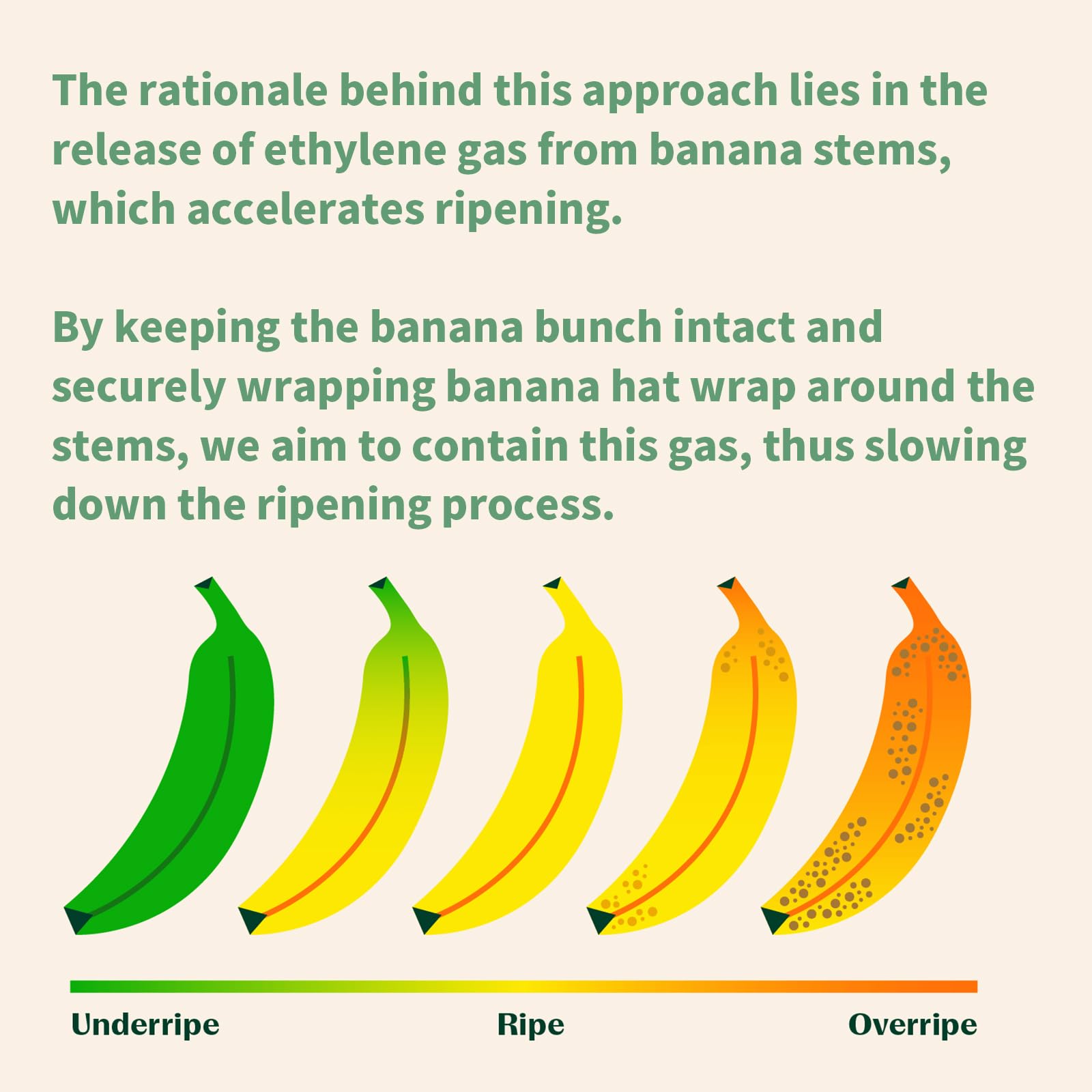 Banana Hat - Keep Bananas Fresh | Food Dispensers & Banana Preserver Cap | Prevent Browning for Lunch Box, Kitchen Storage & Healthy Snacks