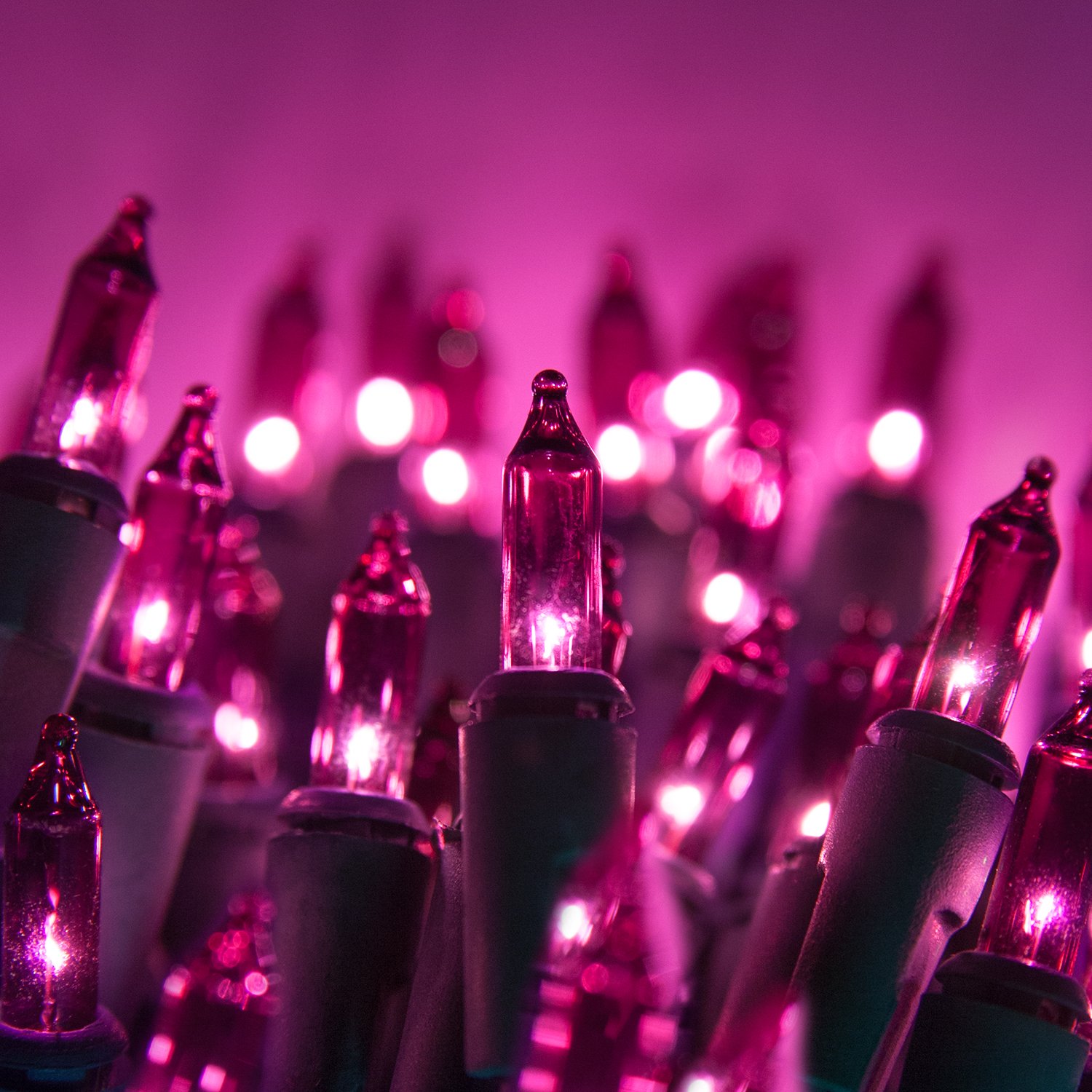 Colorful Mini String Lights for Christmas Tree & Outdoor Decor - 100 LED Purple Lights