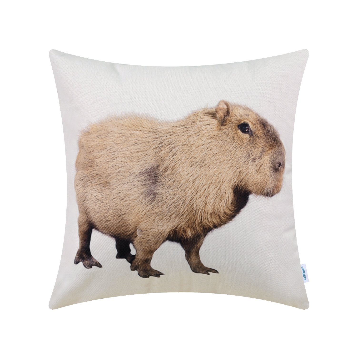 CaliTime 18x18 Inch Capybara Print Canvas Throw Pillow Cover - Decorative Sofa Couch Pillow Case for Living Room, Bedroom Home Decor - Perfect for Cozy Home Styling and Animal Lover Gifts