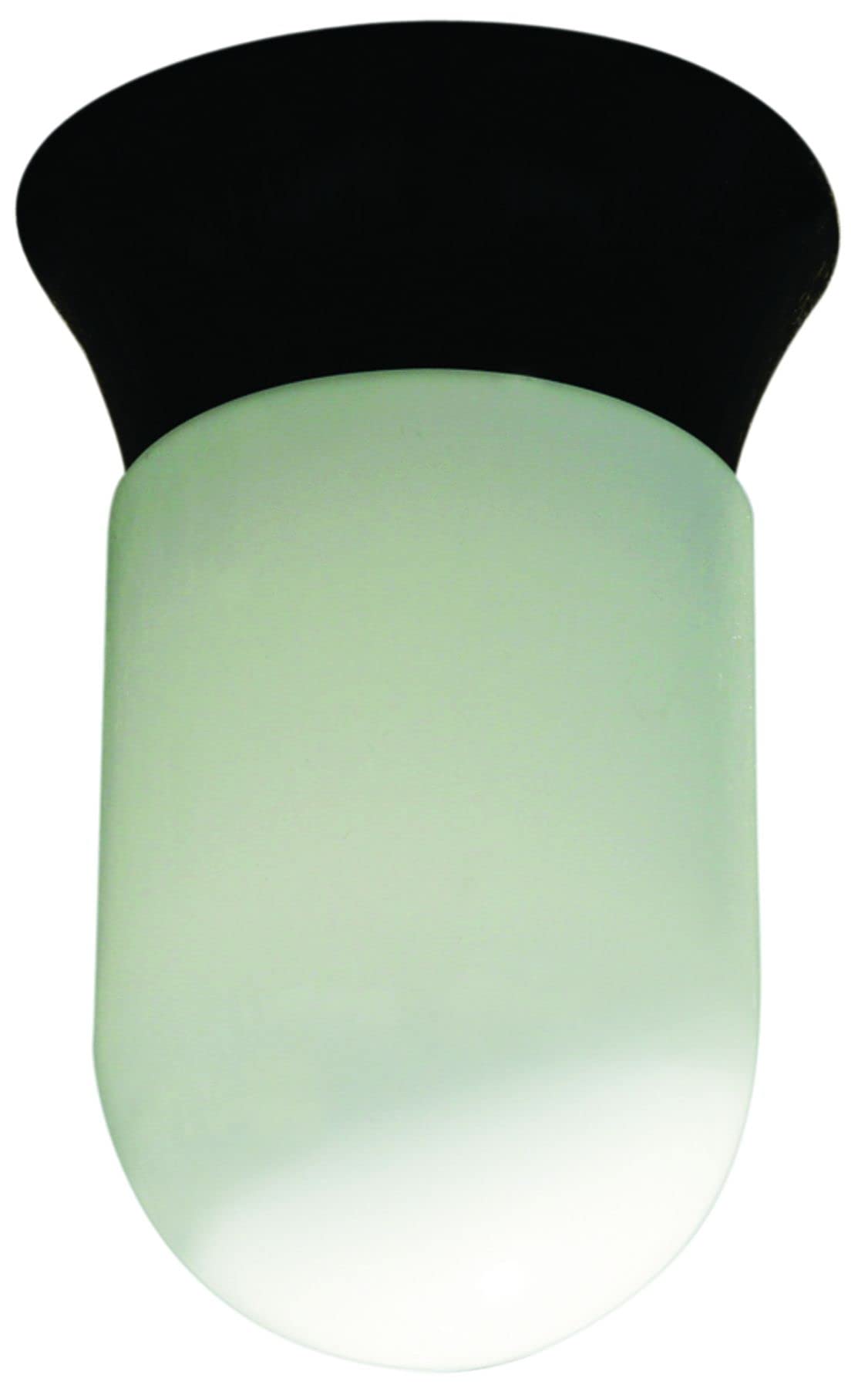 W4859-B JAR Ceiling Light Fixture - 9W PLQ9 LED - 120V - Modern Lighting for Living Room, Bedroom & Kitchen