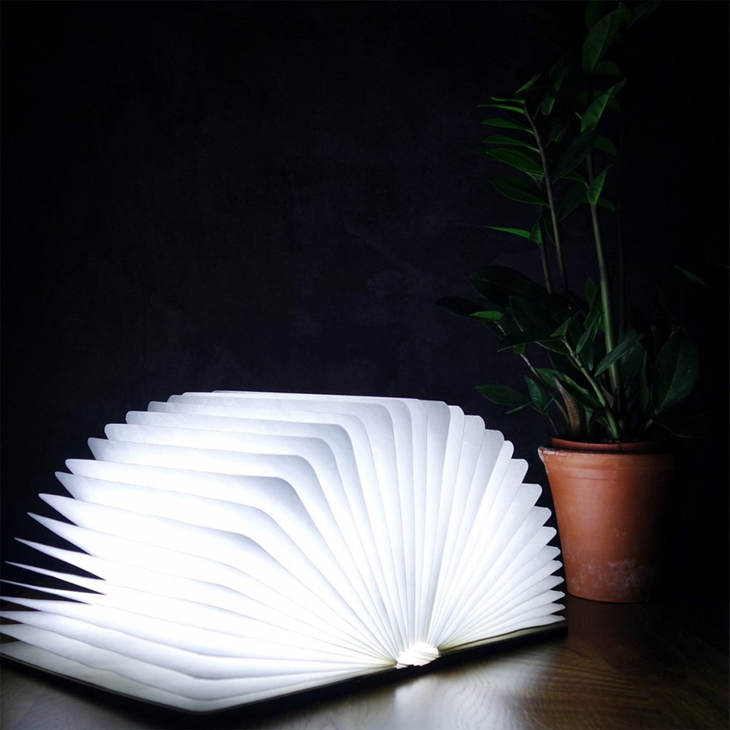 Gingko LED Smart Book Desk Light with Natural Wood Effect Finish - Rechargeable USB Reading Lamp, Adjustable Brightness & Color Temperature for Study, Office, and Bedroom Use - Maple Design