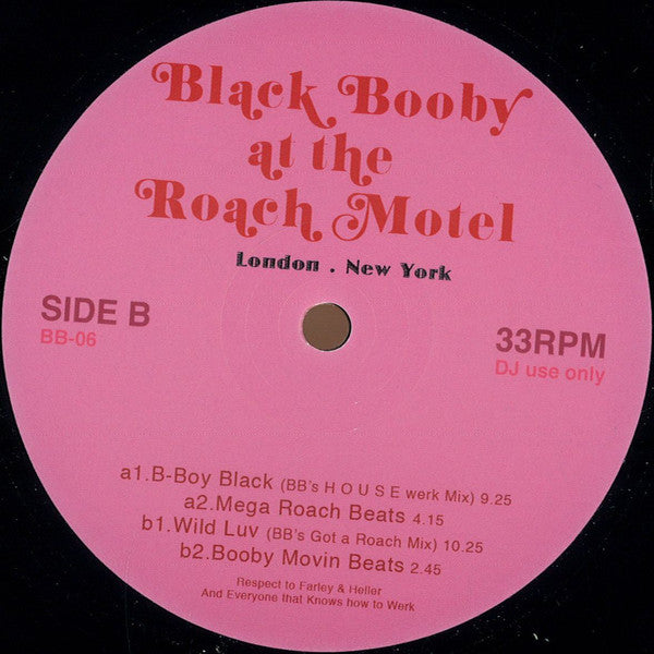 Black Booby BB06 - Premium Black Booby At The Roach Motel for Home Pest Control | Ideal for Kitchen, Bathroom & Basement Insect Protection