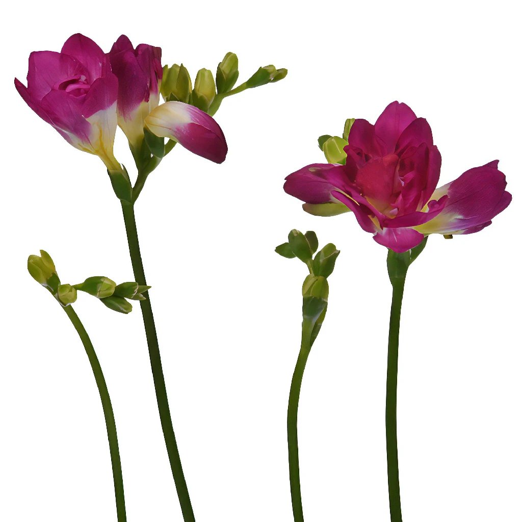 Berry Pink Designer Freesia Flower - Elegant Artificial Silk Flowers for Home Decor, Wedding Centerpieces & Party Arrangements