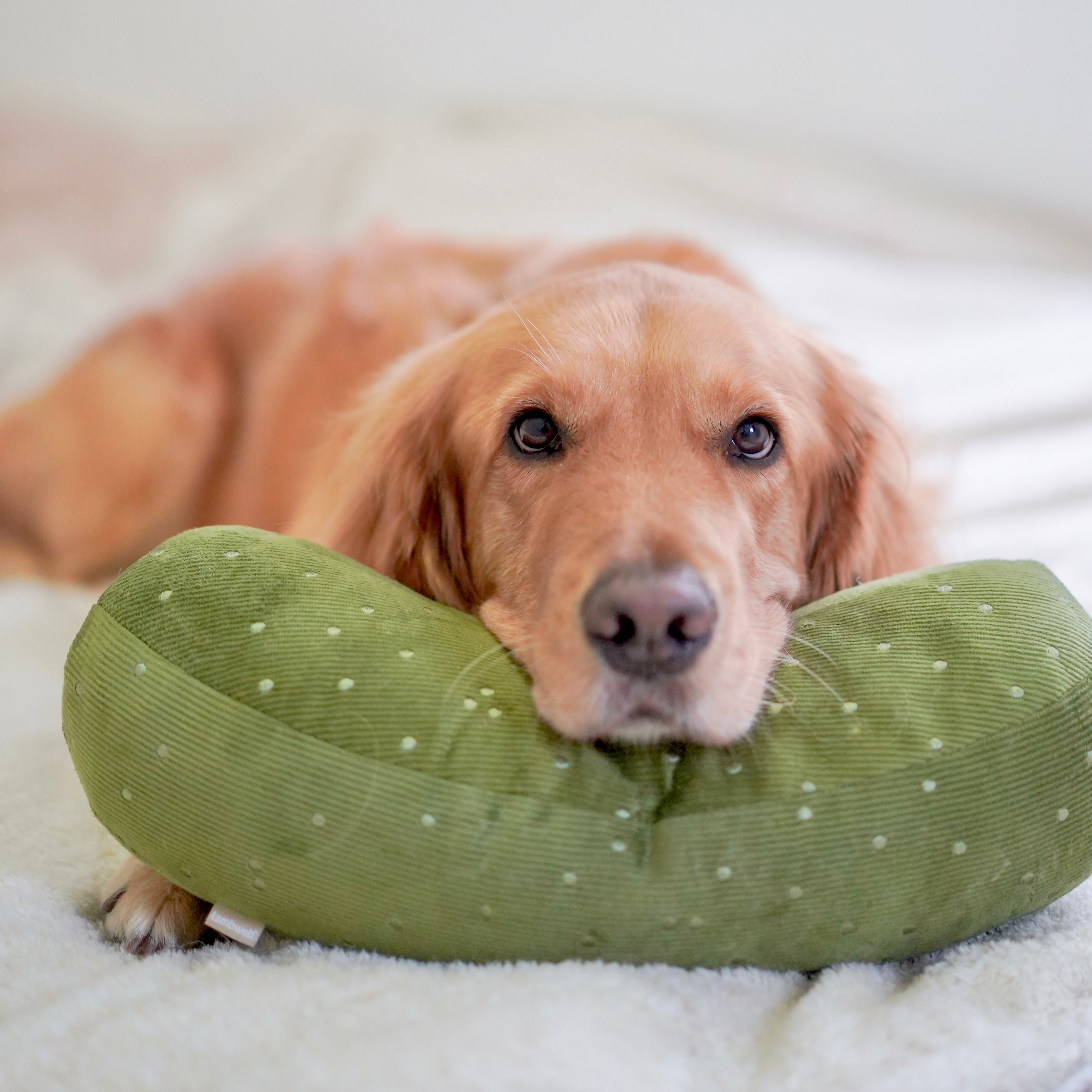 Giant Pickle - Extra Large Dill Pickle for Snacking, Sandwiches & Party Platters - Perfect for Picnics, BBQs & Game Day Snacks