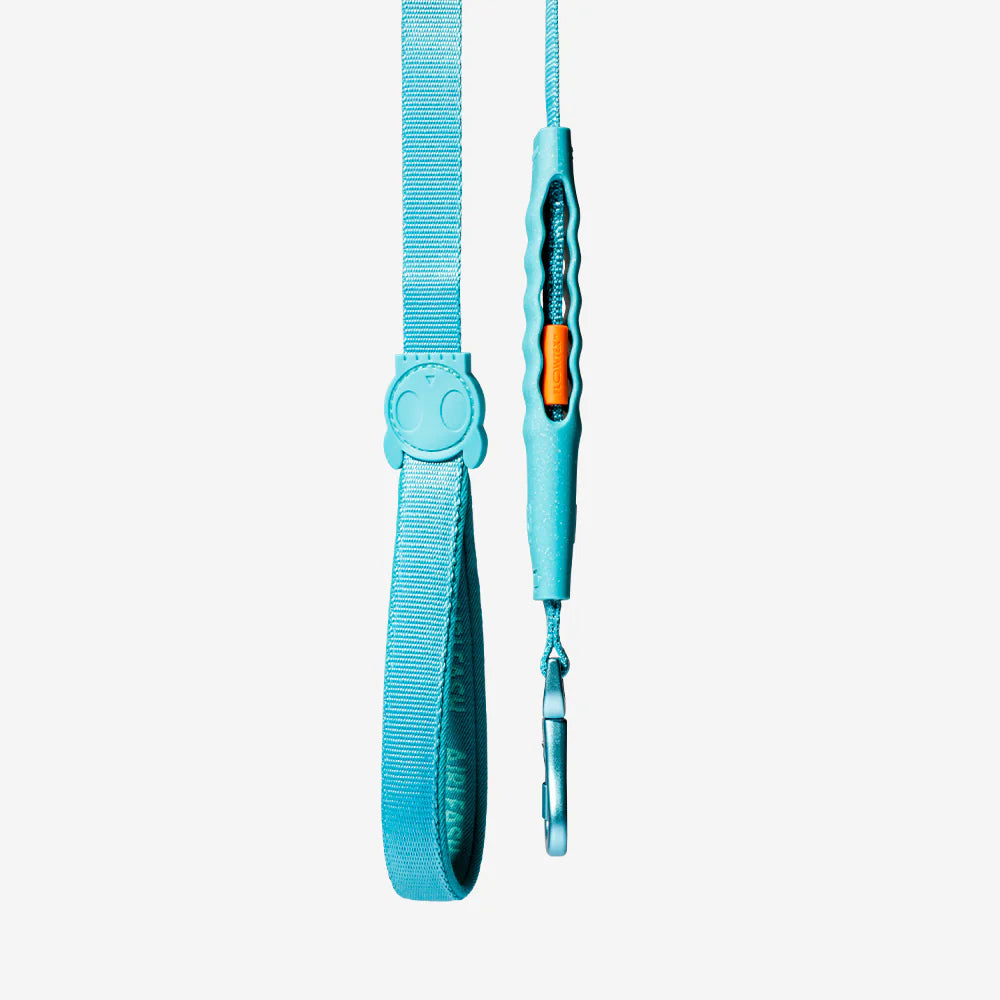 Zee.Dog Blue Airleash - Adjustable Dog Leash for Small Medium Large Dogs | Comfortable & Durable Pet Walking Accessories | Perfect for Daily Walks, Jogging & Outdoor Adventures
