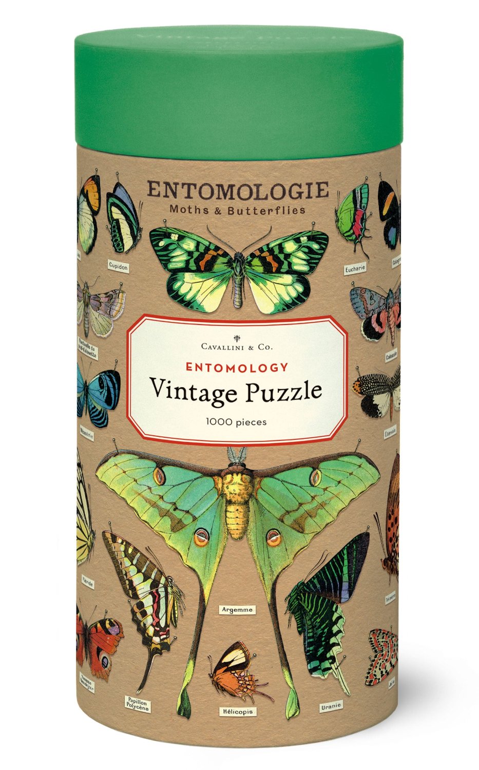 1,000 Piece Entomology Puzzle - Insect & Bug Theme Jigsaw for Adults & Kids - Perfect for Family Game Nights & Educational Fun