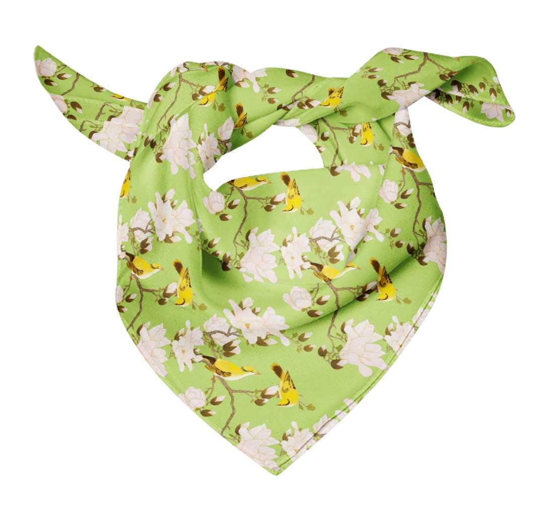 Bimba Printed Pure Silk Scarf - Women's Fashion Hair Neck Head Wrap Bandana for Styling & Accessories | Perfect for Office, Travel & Special Occasions