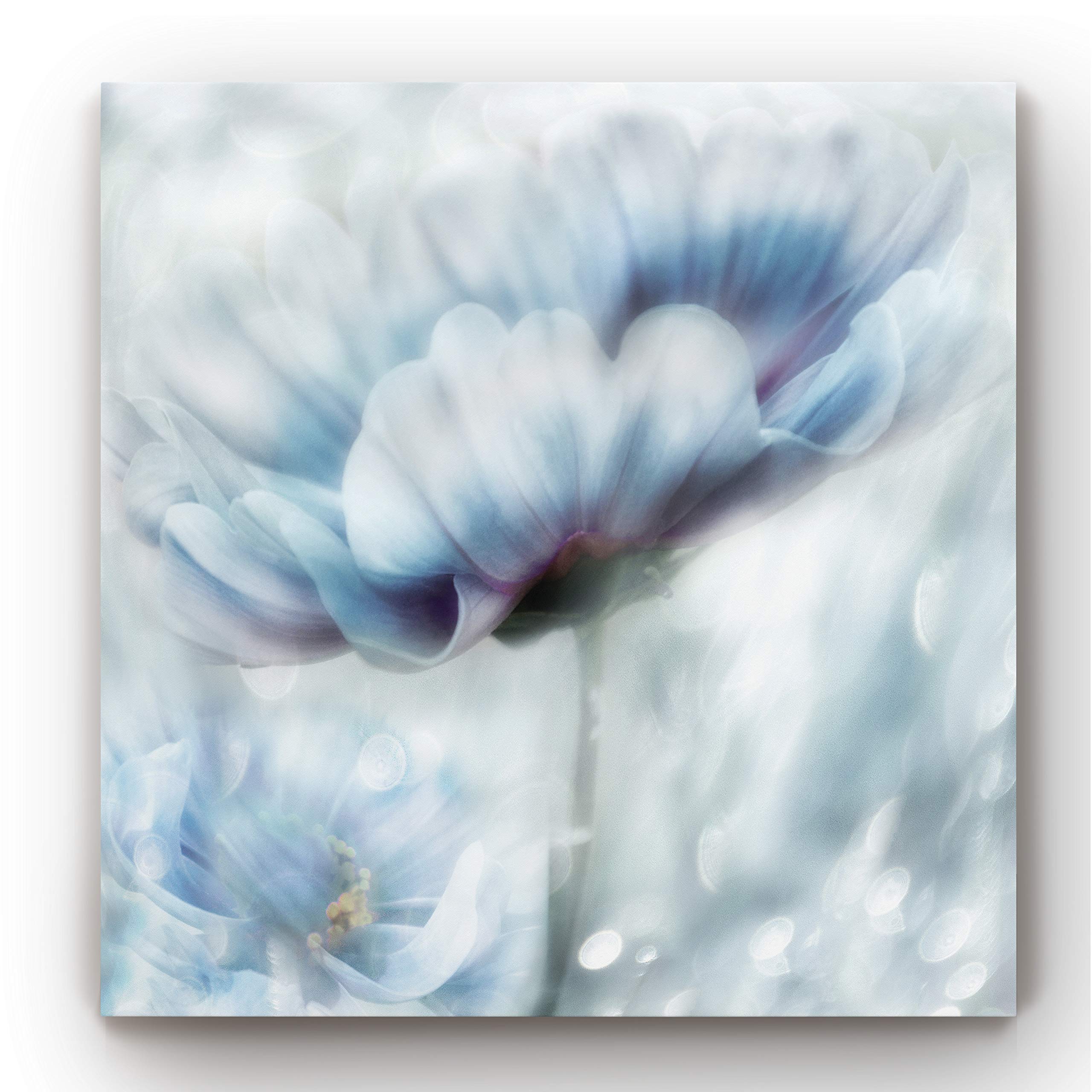 Abstract Wall Art Canvas - Animals, Flowers, Coastal & Geometric Designs in Vibrant Colors | 32x32 Inch Ready-to-Hang Painting | Perfect for Living Room, Bedroom & Office Decor