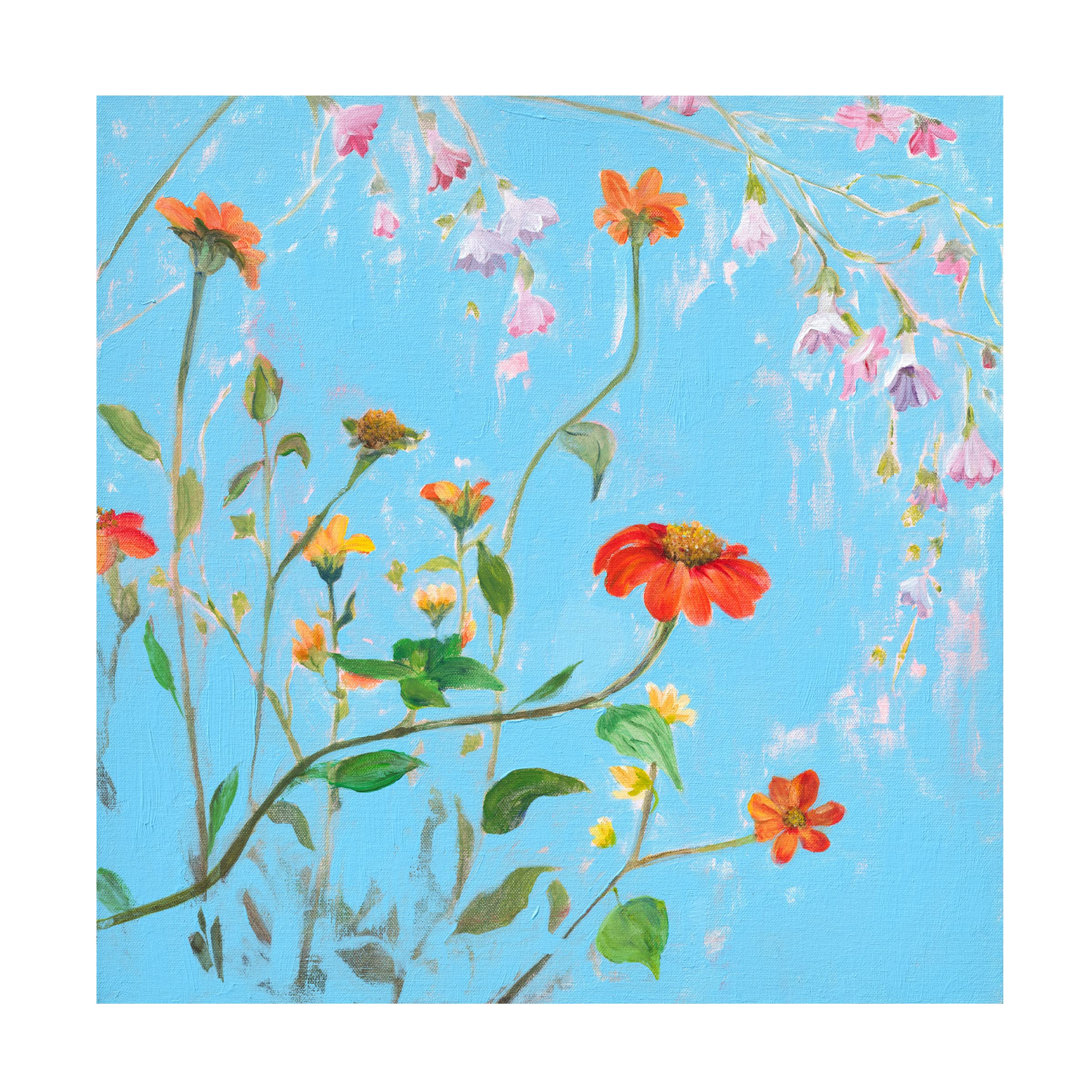 Sandra Iafrate 'Wild Flowers on Cerulean IV' Canvas Wall Art Print - Modern Floral Home Decor for Living Room, Bedroom & Office