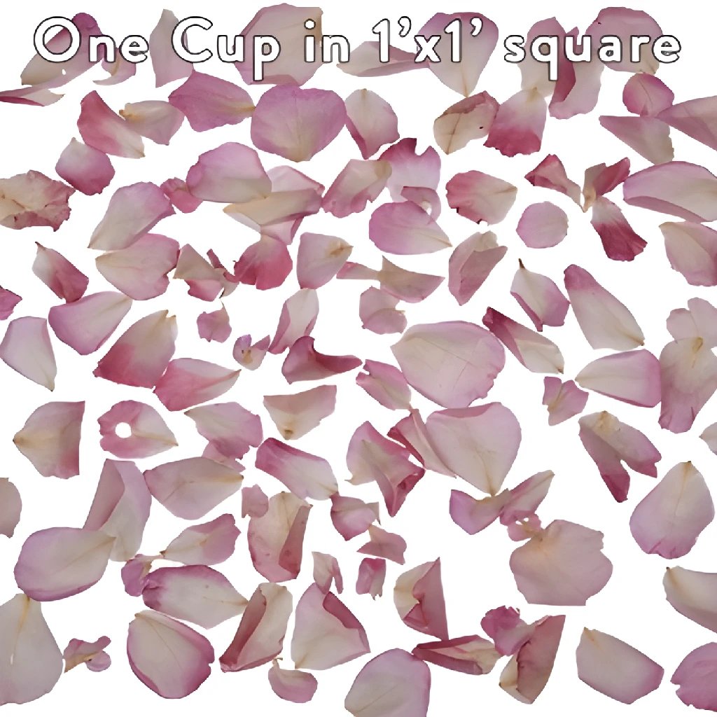 Premium Blush Pink Dried Rose Petals for Wedding Decor, Bath Soak, DIY Crafts & Romantic Gift - Natural Fragrant Flower Petals for Special Occasions