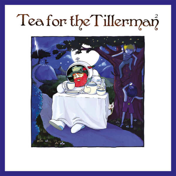 Cat Stevens - Tea For the Tillerman 2 Vinyl Record | Classic Folk Rock Album | Perfect for Home Listening & Music Collectors