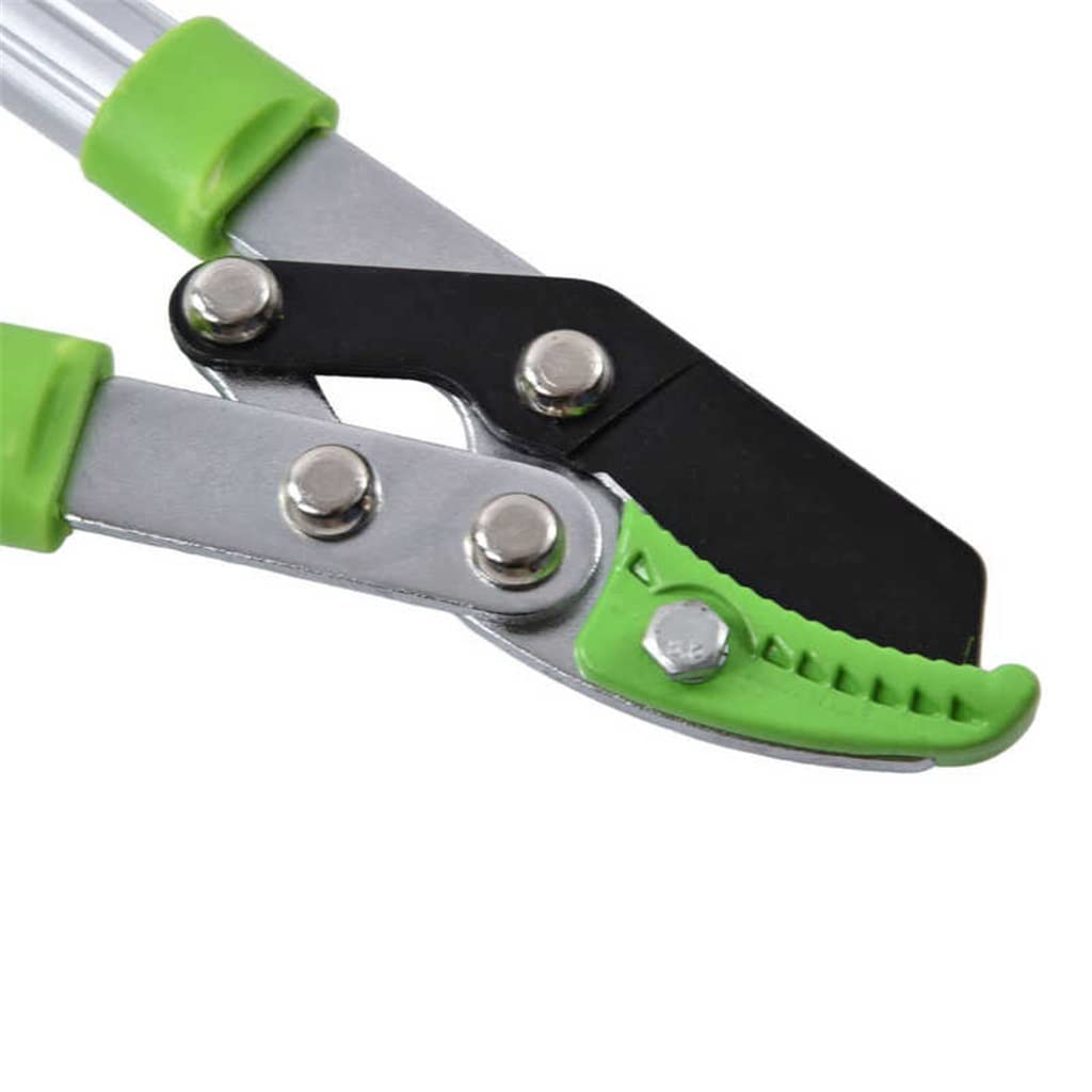 Durable Gardening Scissors - Professional Branch Pruning Shears for Flowers, Plants & Garden Trimming | Perfect for Home Gardening, Landscaping & Outdoor Use