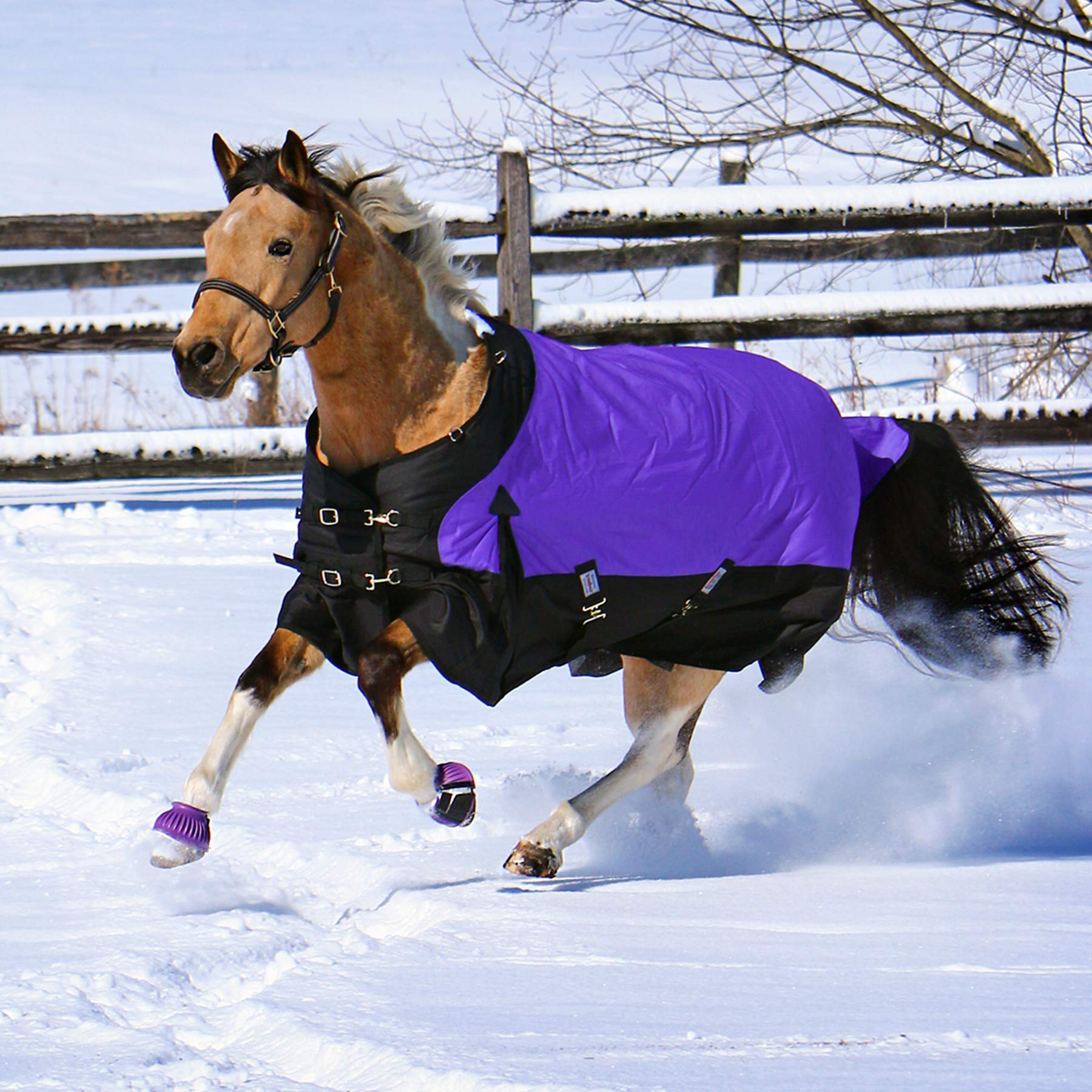 Classic II Surcingle Horse Turnout Blanket - Waterproof Winter Horse Blanket with Contour Collar & 1200D Ripstop Fabric | Durable Horse Blankets for Cold Weather Riding, Stable Use & Outdoor Turnout