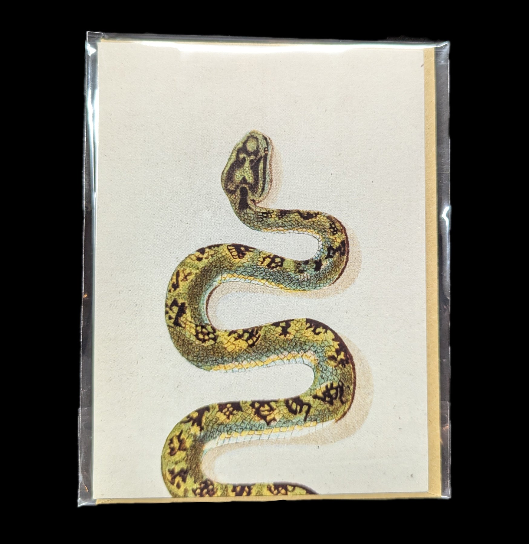 Eco-Friendly Green Snake Greeting Card - Unique Wildlife Birthday & Holiday Cards for Nature Lovers - Perfect for Birthdays, Anniversaries, and Special Occasions