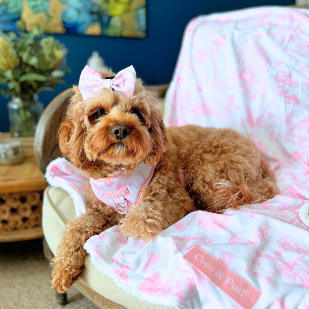 Pink Dog Blanket for Pets - Soft & Cozy Pet Bed Cover - Perfect for Small, Medium & Large Dogs - Ideal for Beds, Couches & Travel Use