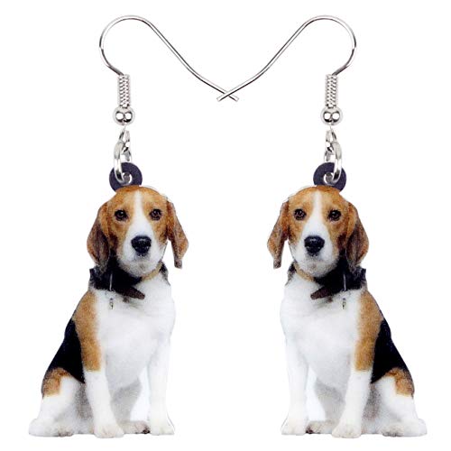 Beagle #3