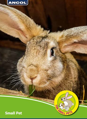 Natural Wooden Ring Tree Gnawer Chew Toy for Small Pets - Safe Teething Relief for Puppies, Rabbits & Guinea Pigs - Perfect for Cage Enrichment & Stress Relief