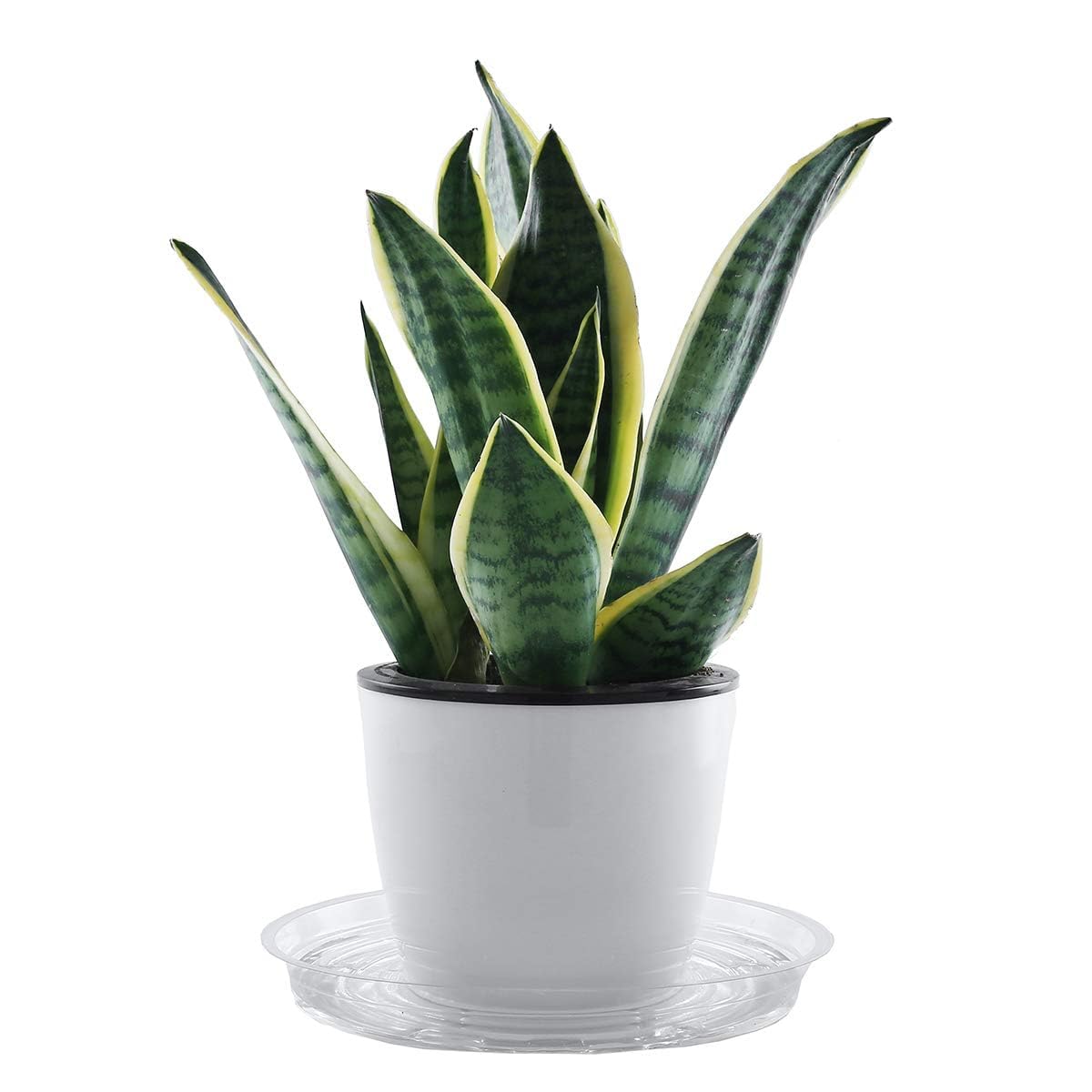 20 Pack 12 Inch Clear Plastic Plant Saucers - Large Drip Trays for Indoor Flower Pots & Planters | Heavy Duty Water Catchers for Potted Plants, Houseplants, Gardening & Home Decor (Bulk Set)